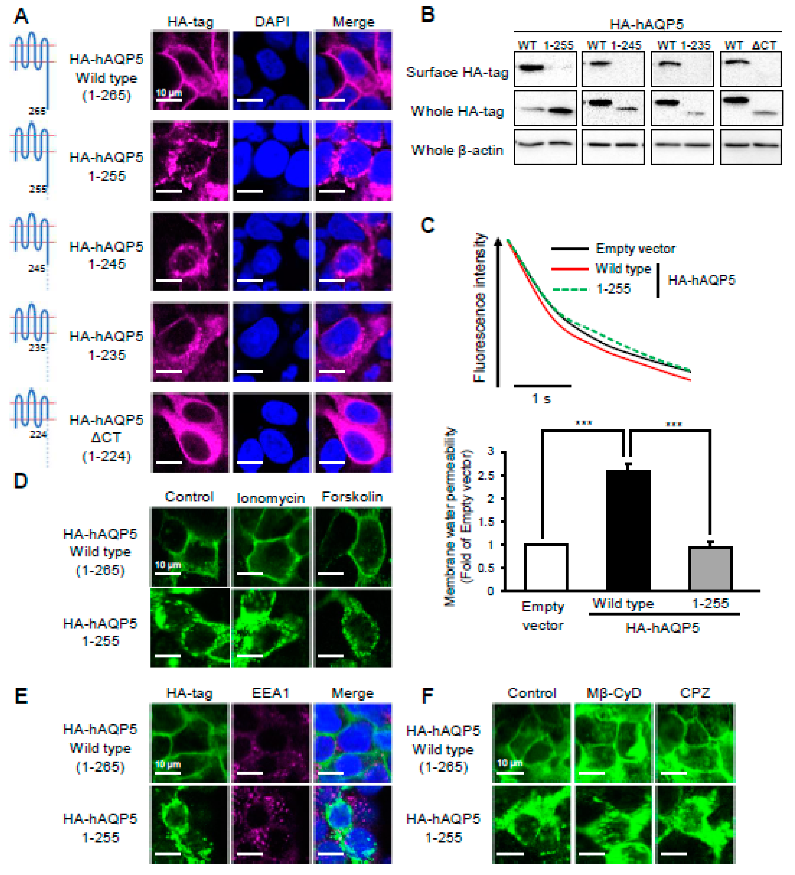 Ijms 22 13461 g002 550