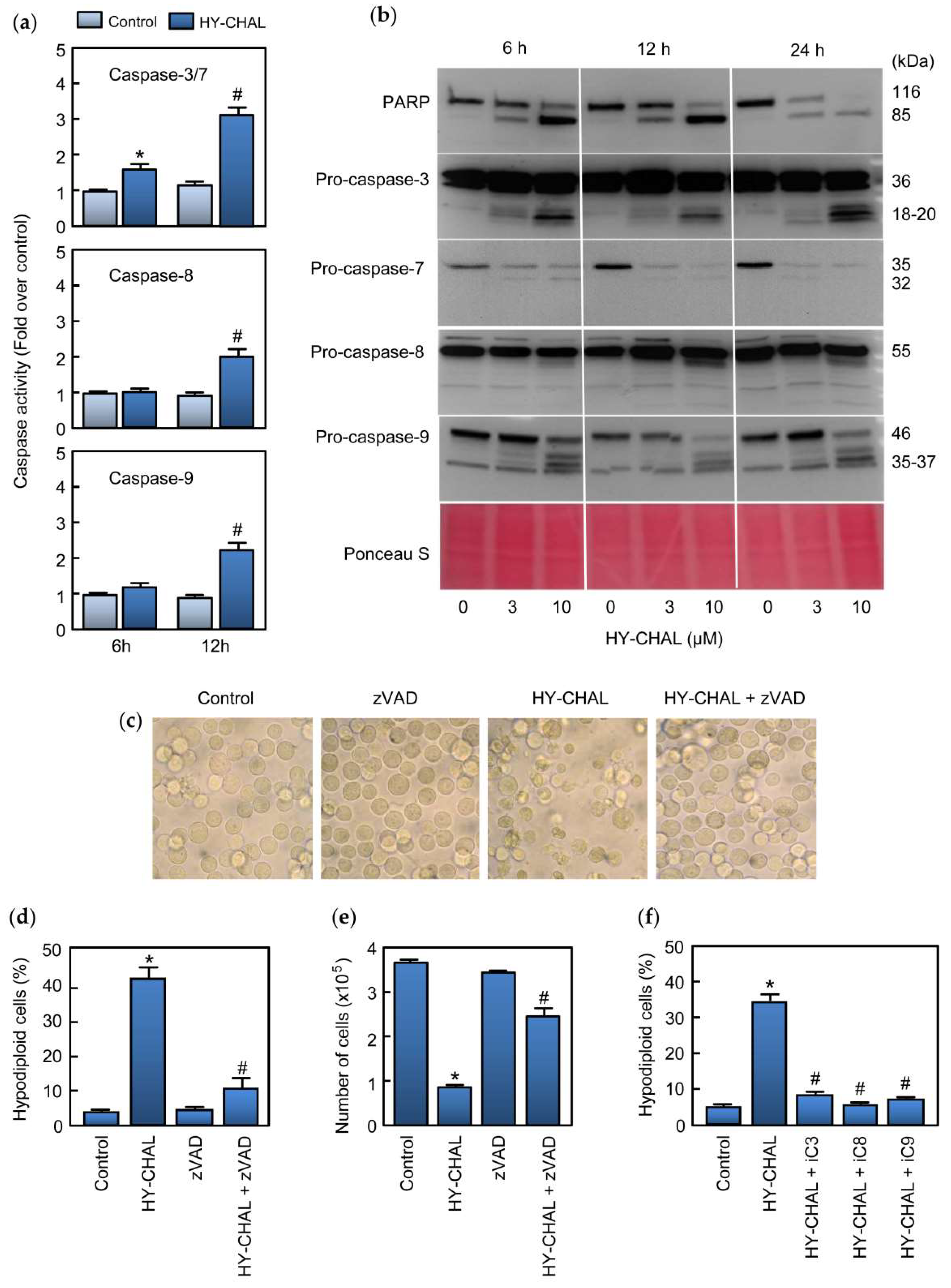 Ijms 22 13462 g003 550