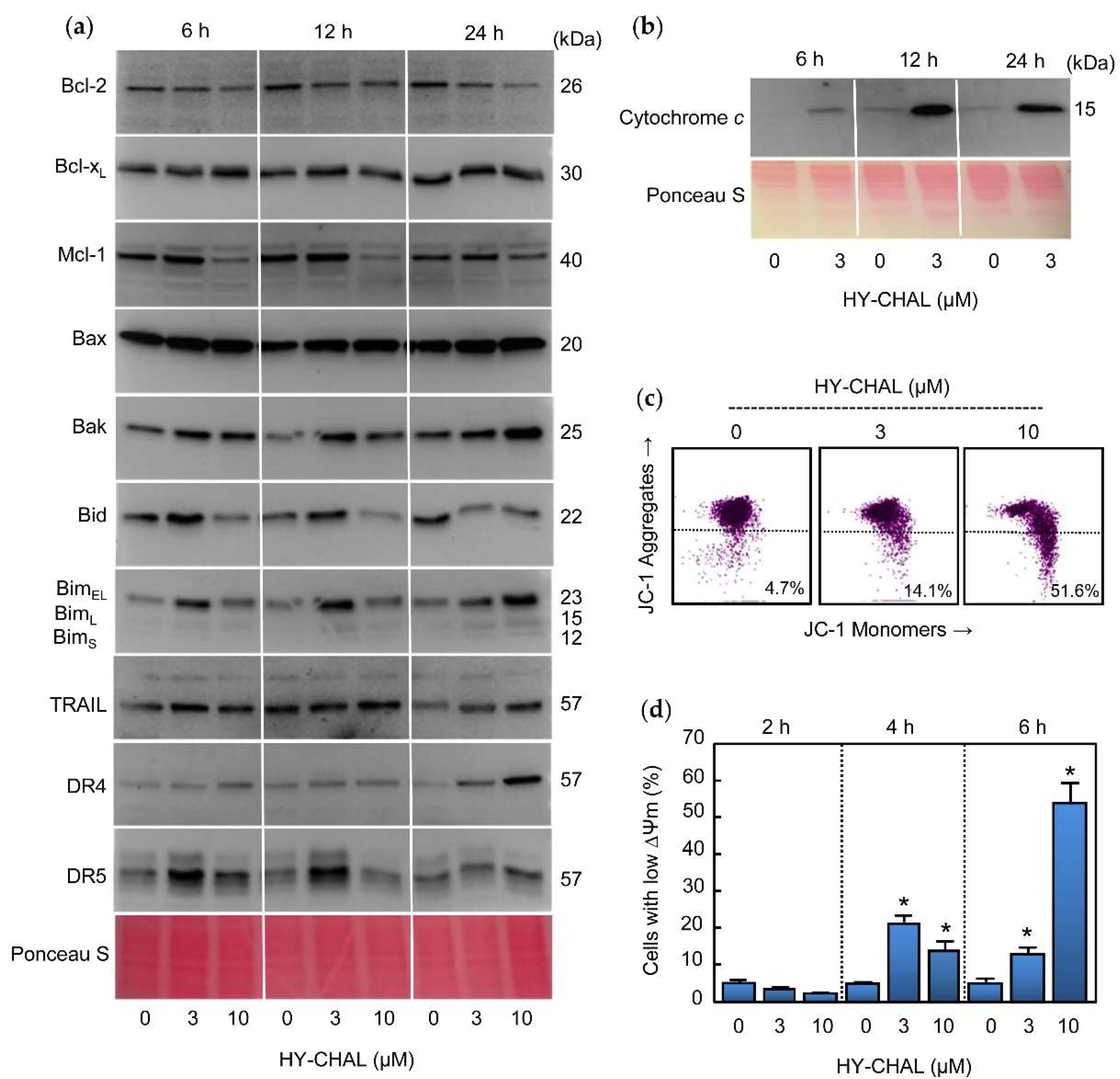 Ijms 22 13462 g004 550
