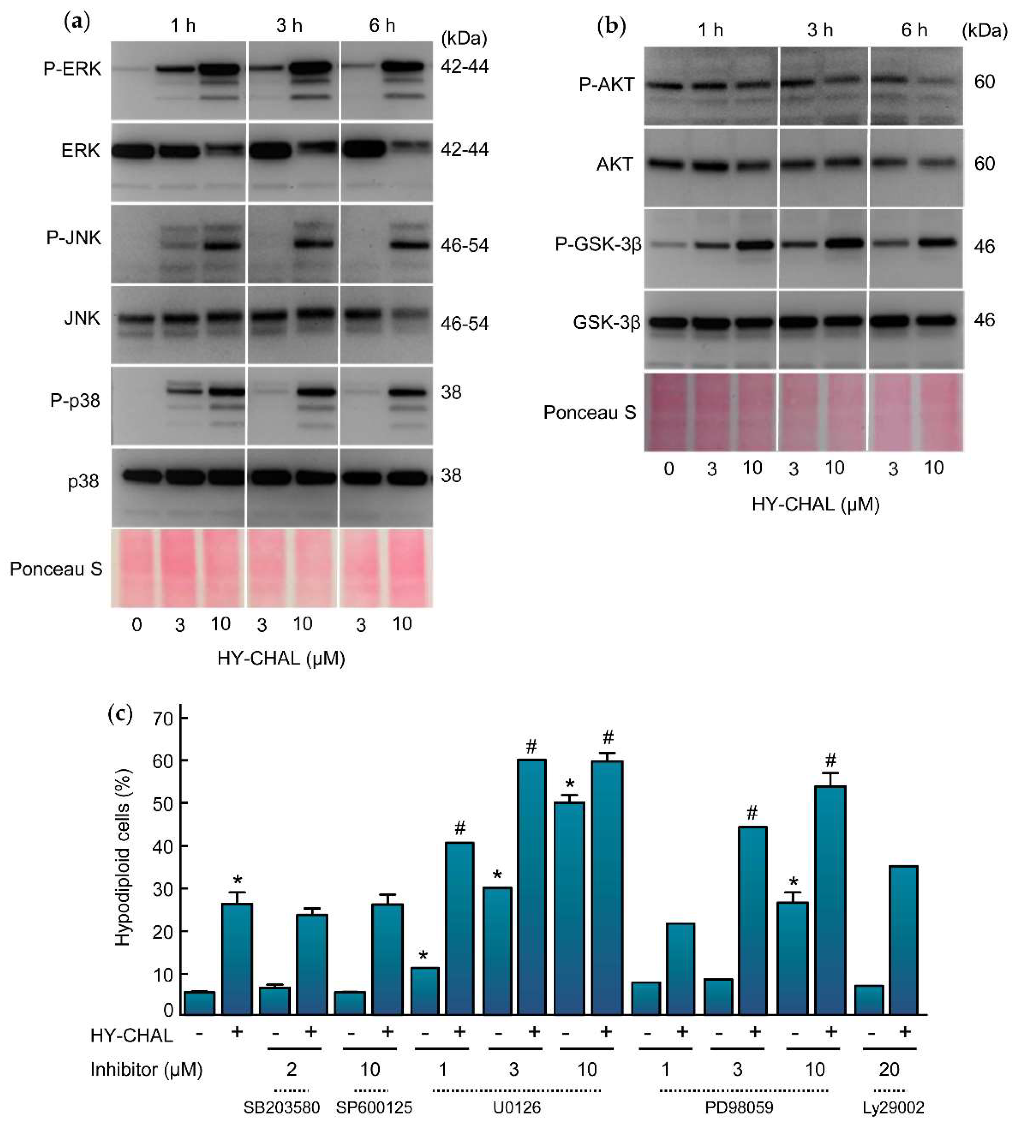 Ijms 22 13462 g005 550