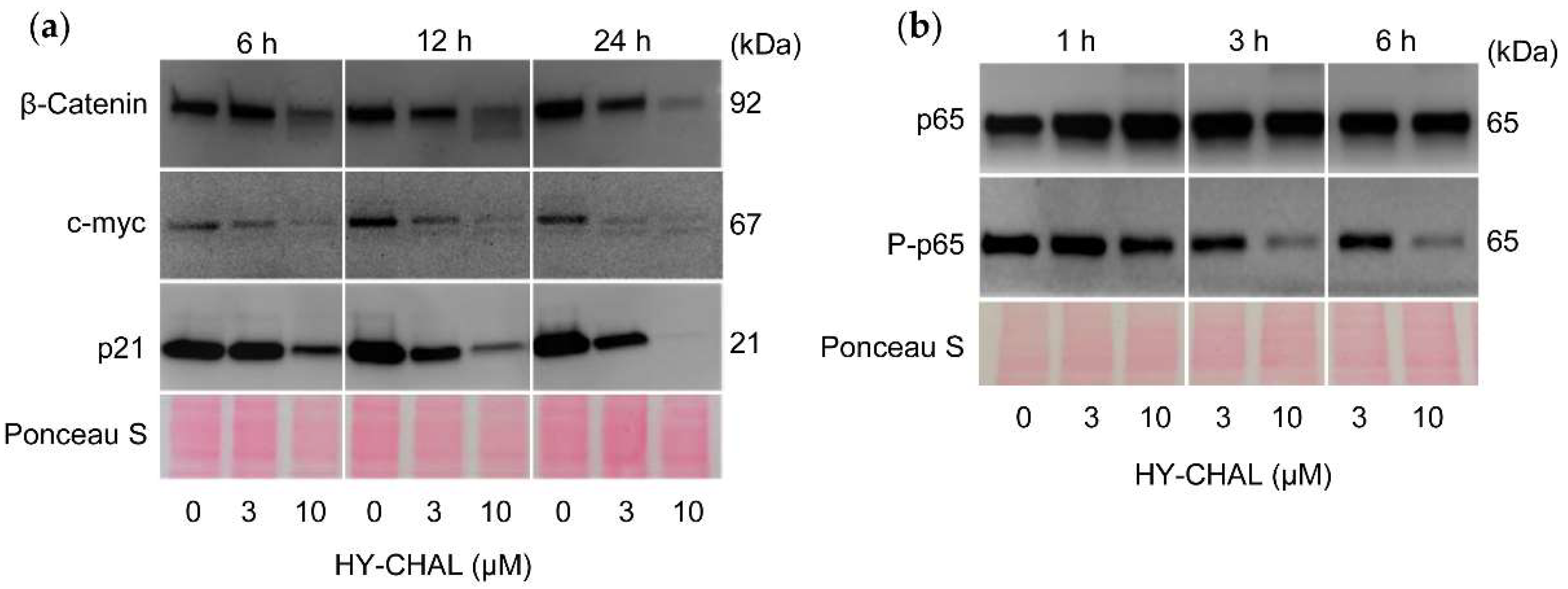 Ijms 22 13462 g006 550
