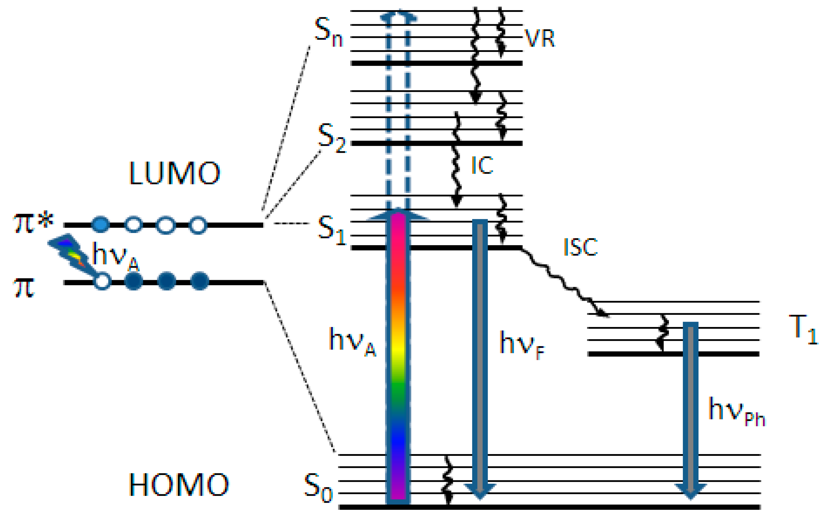 Ijms 22 13463 g007 550