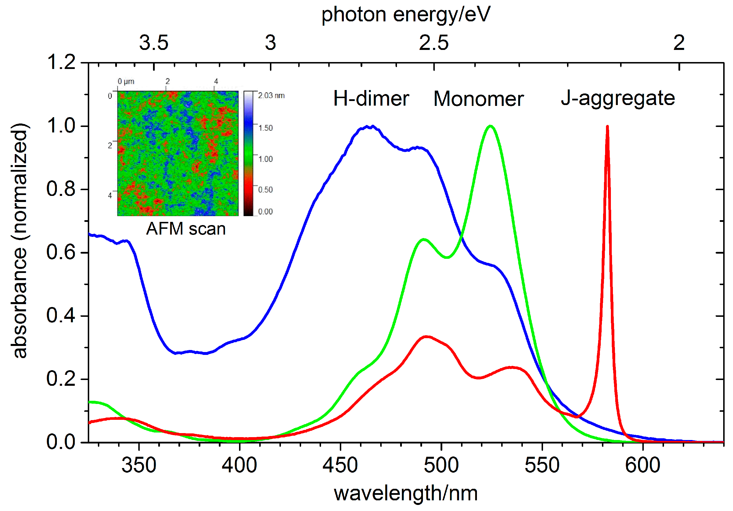 Ijms 22 13463 g011 550