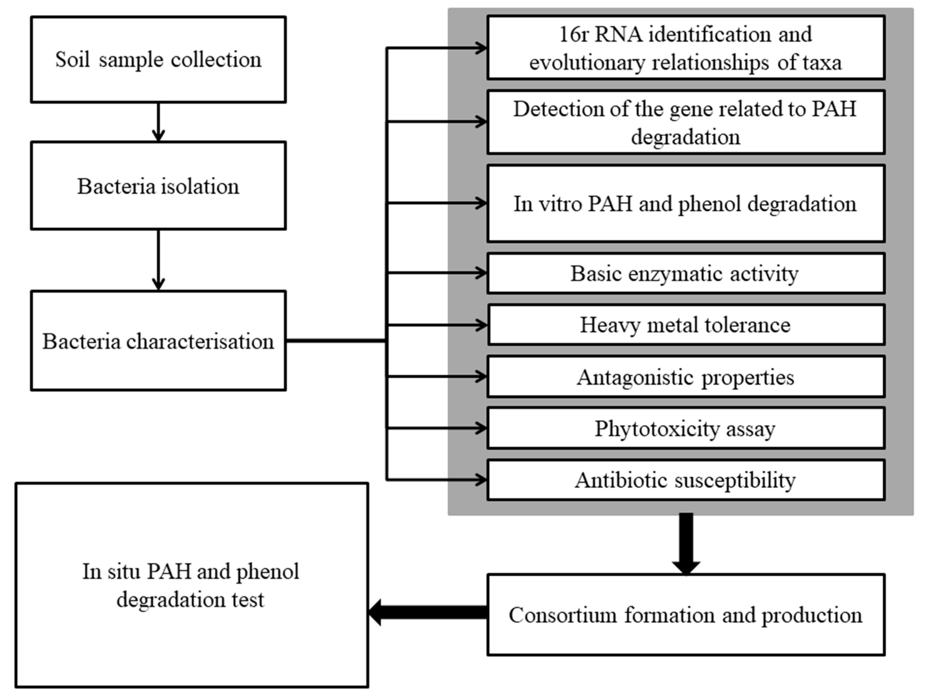 Ijms 22 13469 g001 Ijms 22 13469 g001