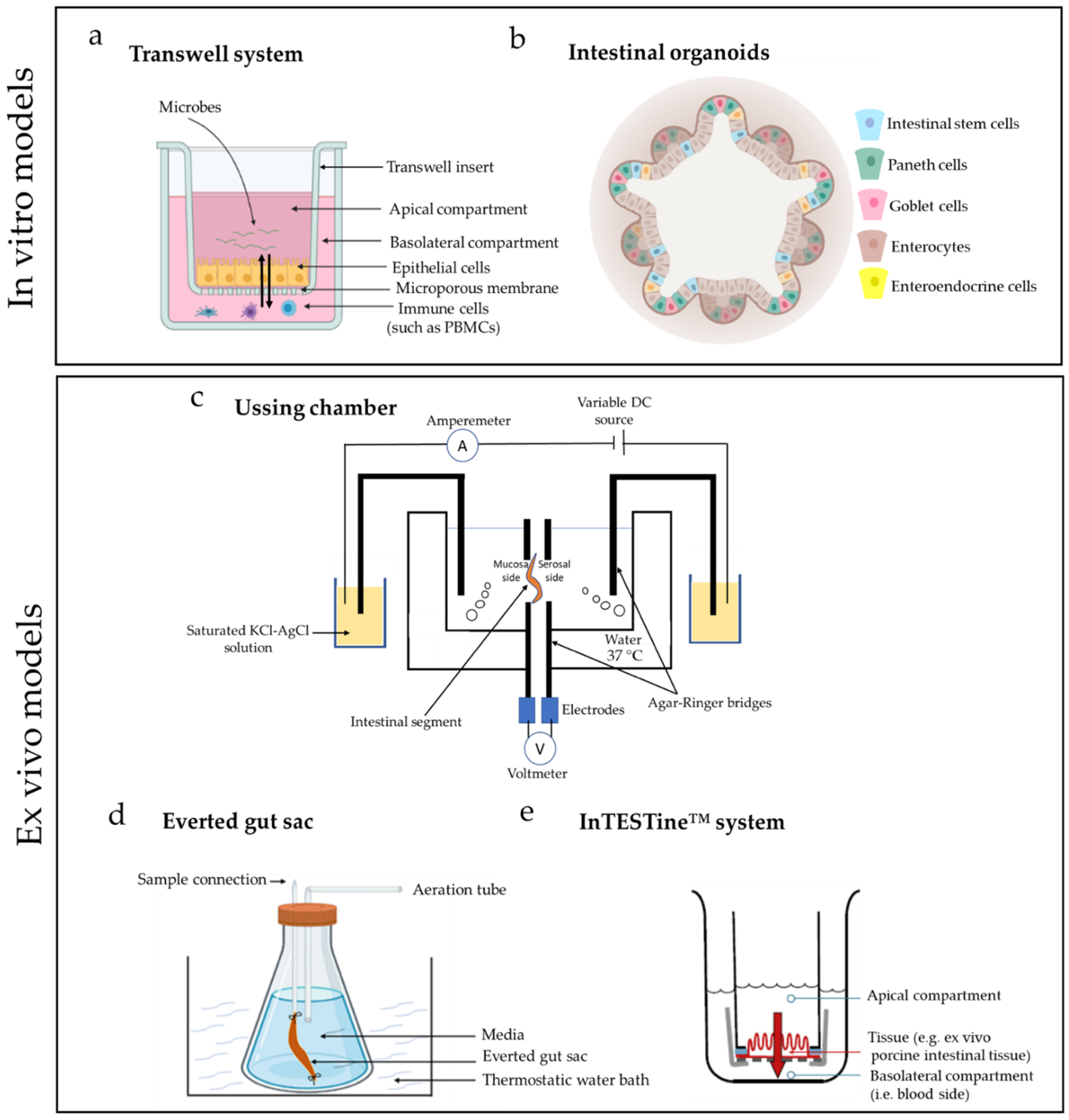 Ijms 22 13472 g001 550
