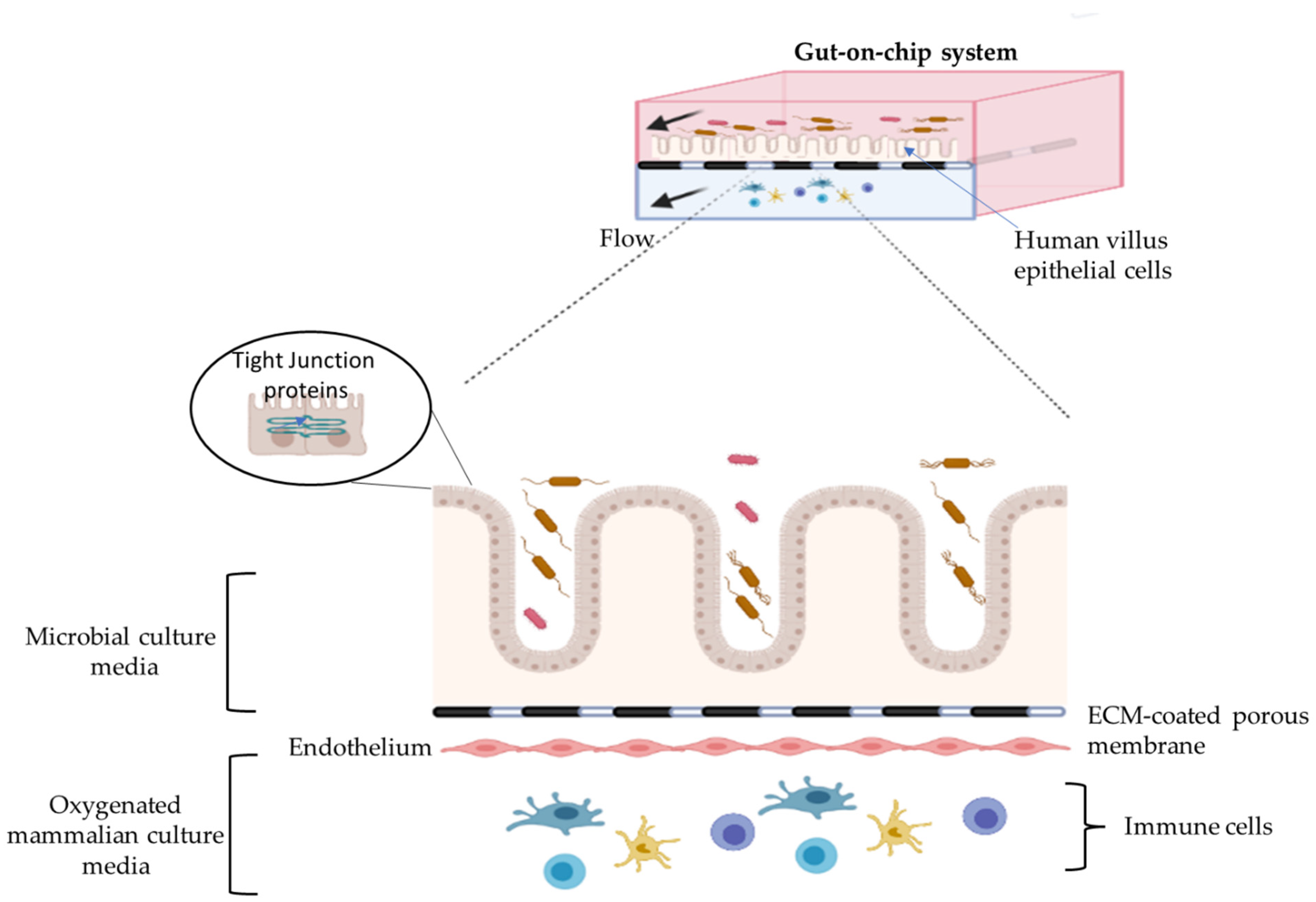 Ijms 22 13472 g002 550