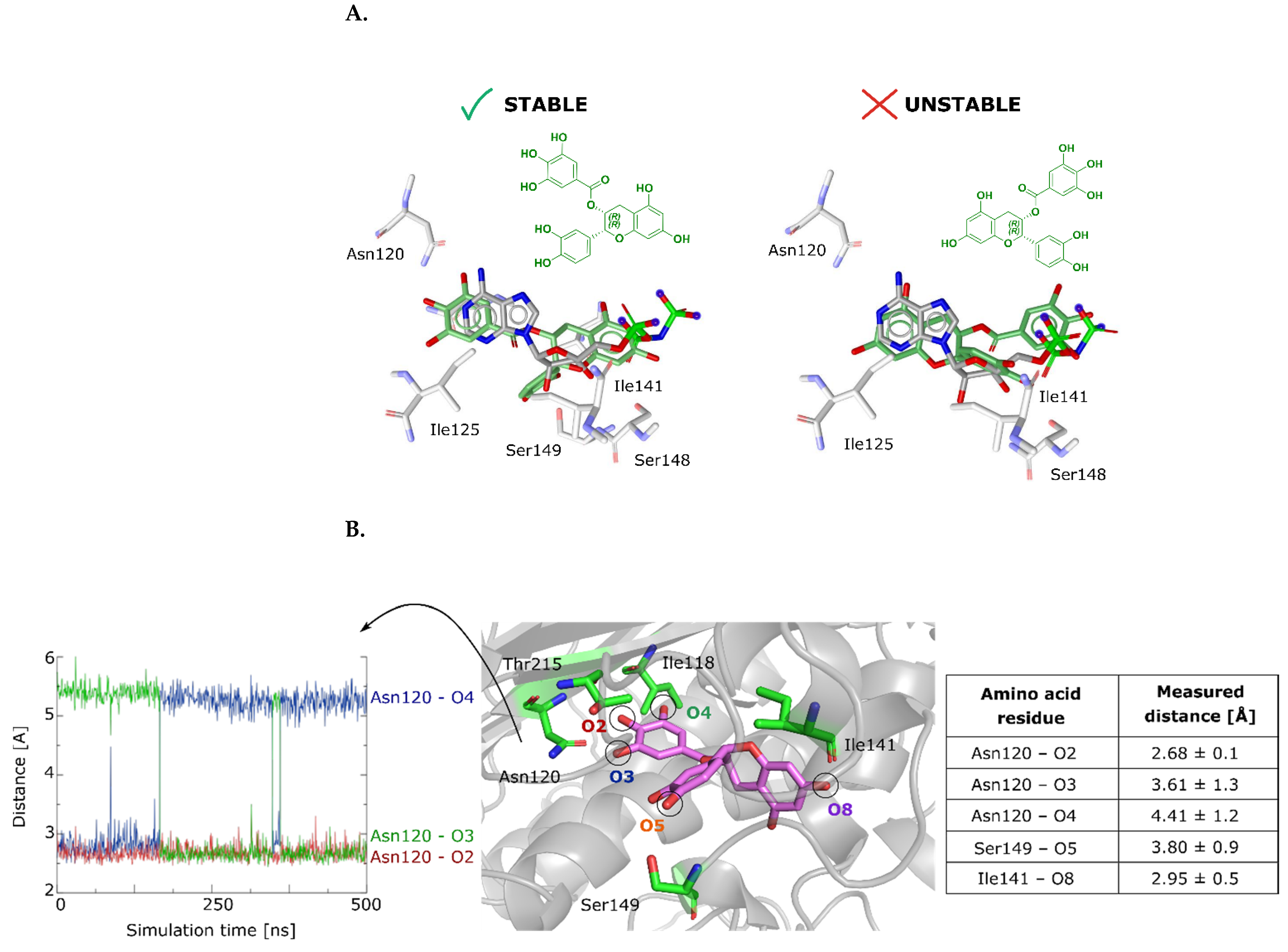 Ijms 22 13474 g007a 550
