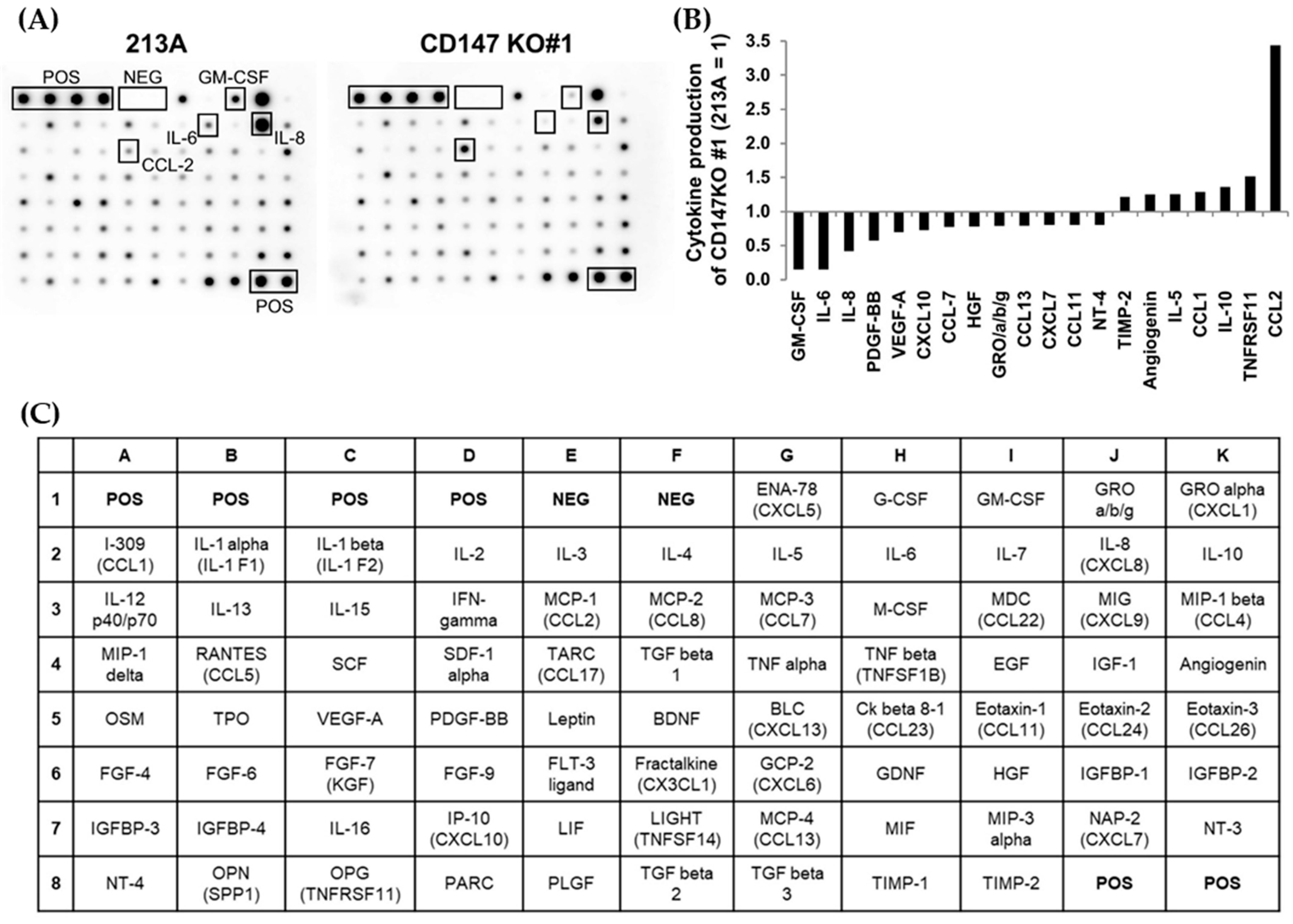Ijms 22 13496 g002 550