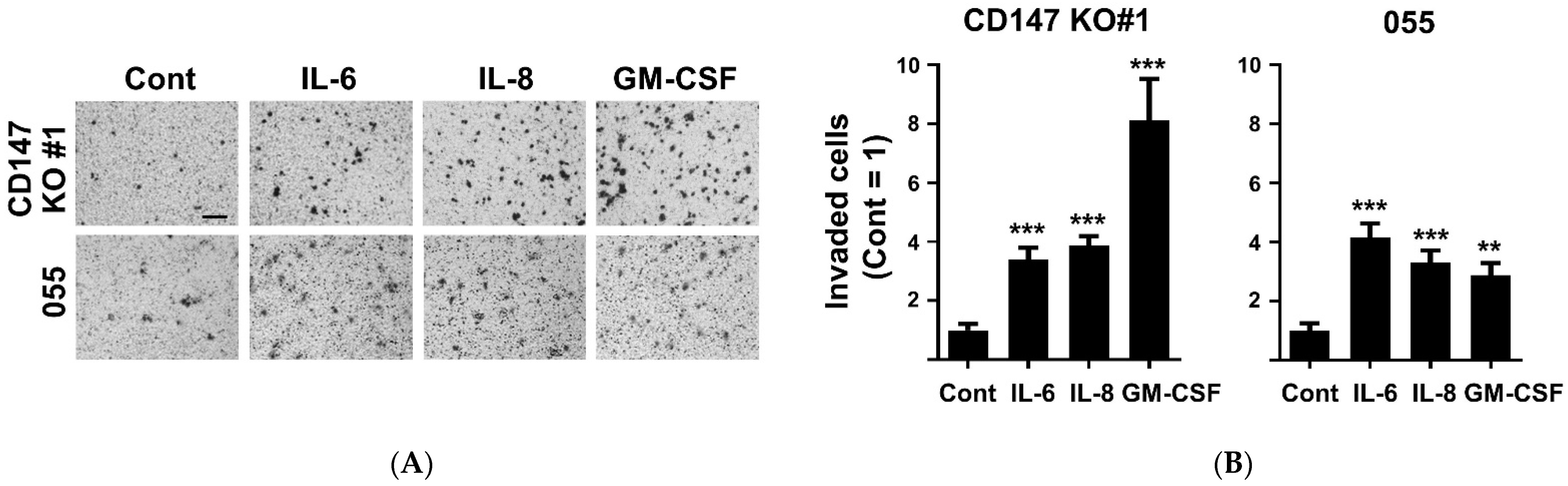 Ijms 22 13496 g004 550