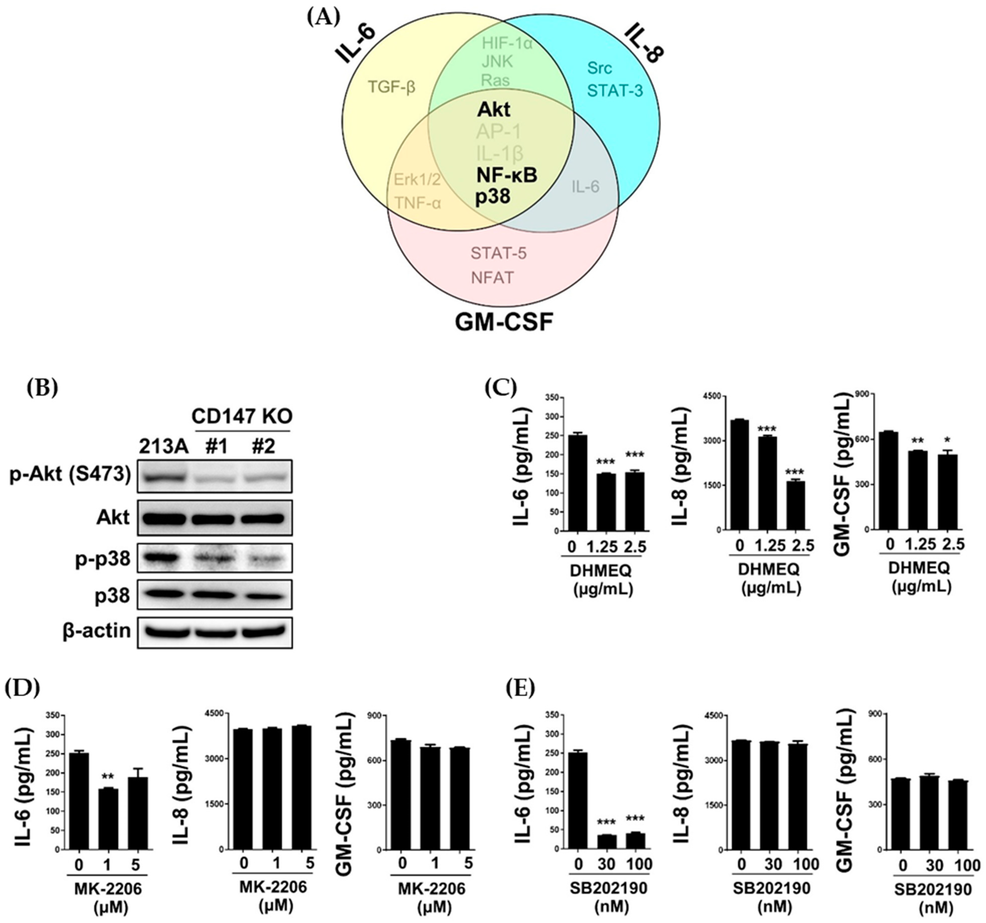 Ijms 22 13496 g007 550