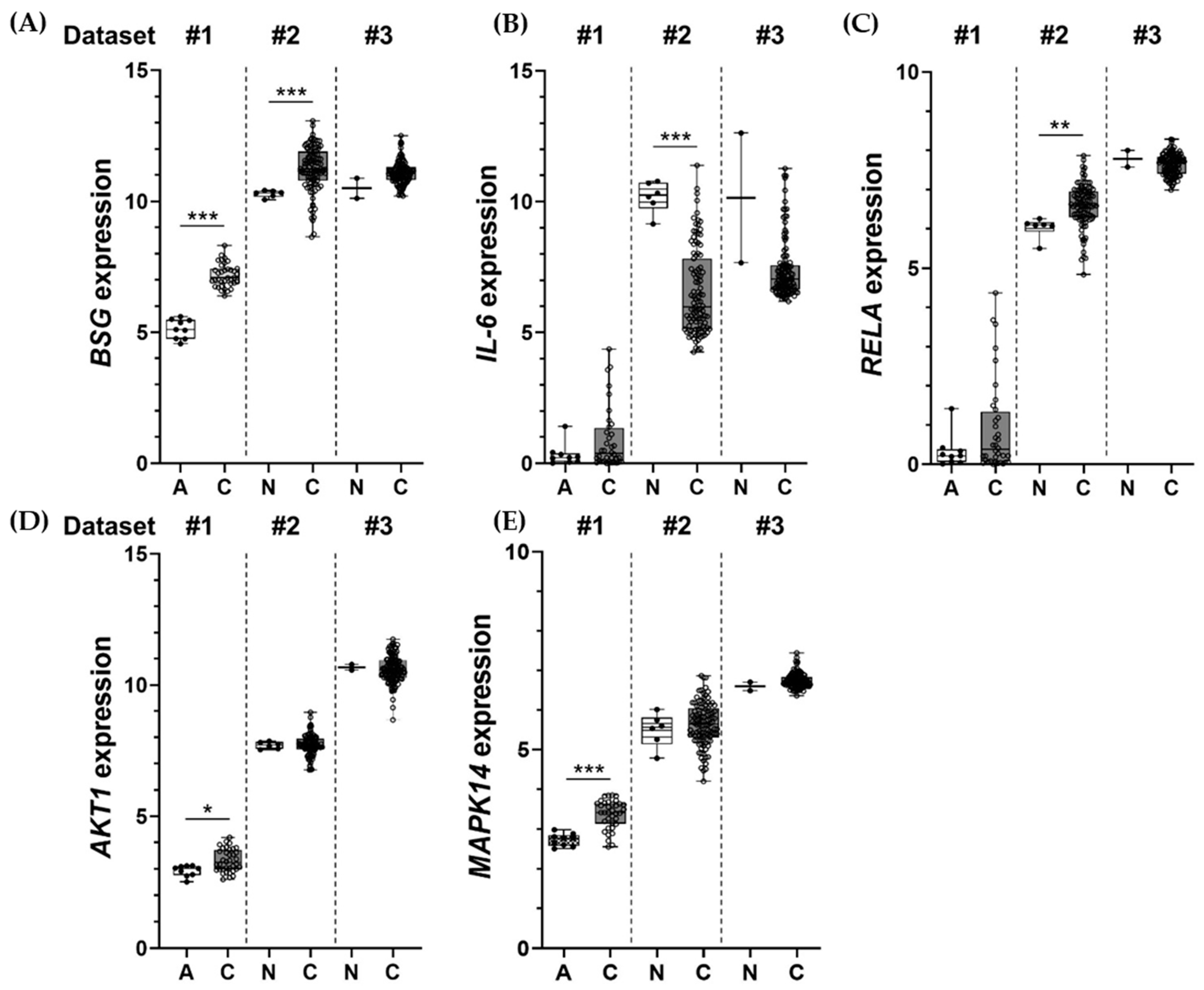 Ijms 22 13496 g008 550