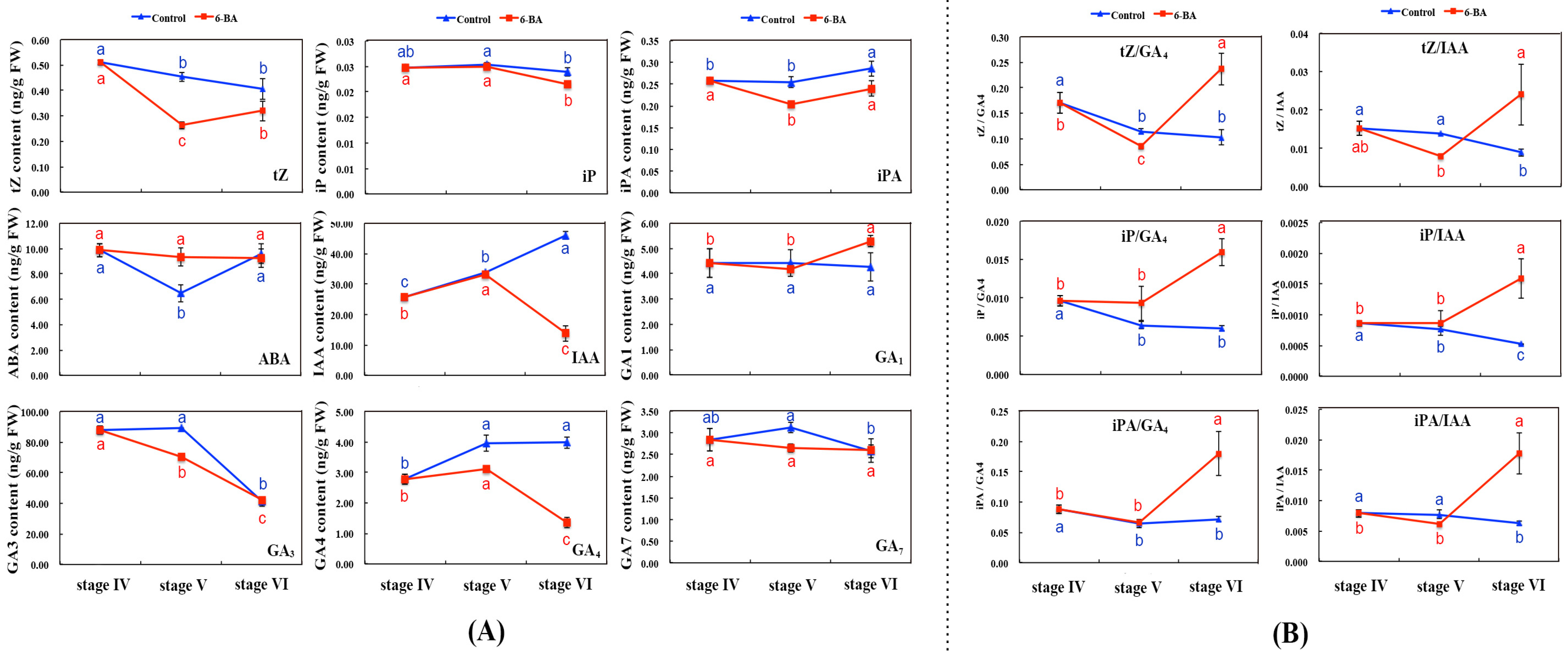 Ijms 22 13502 g002 Ijms 22 13502 g002