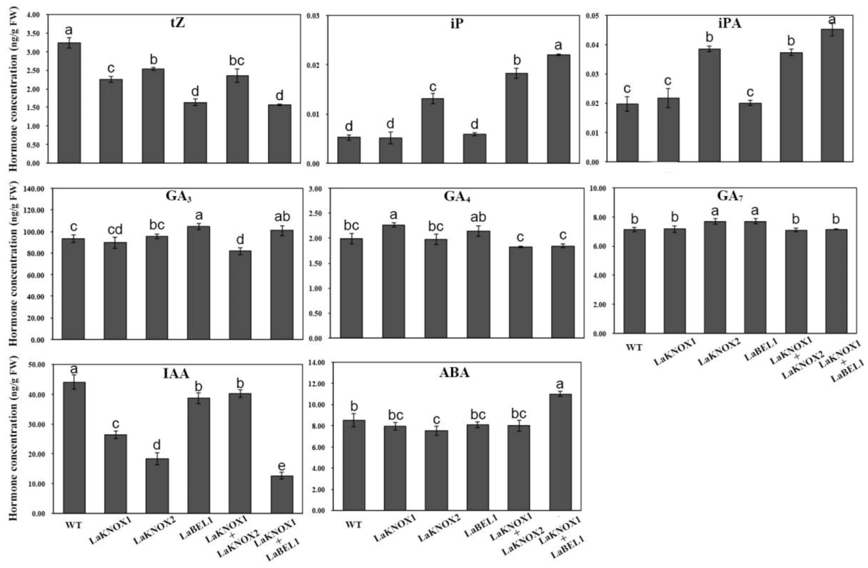 Ijms 22 13502 g008 Ijms 22 13502 g008