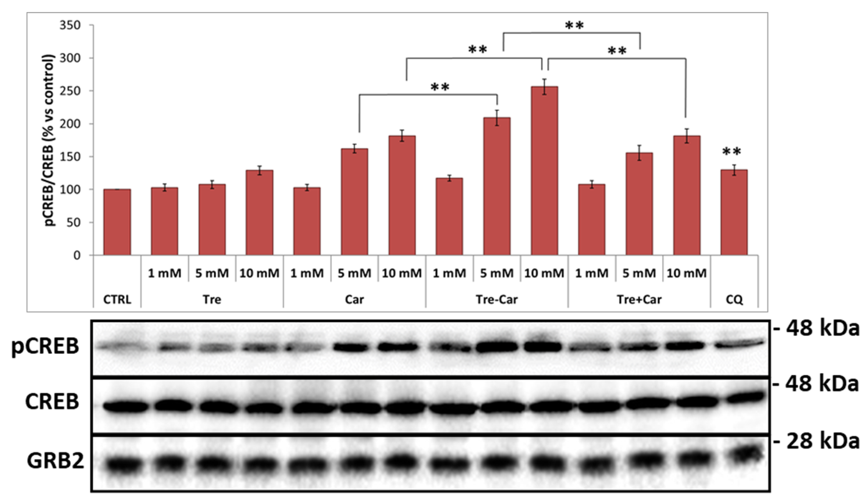 Ijms 22 13504 g004 550
