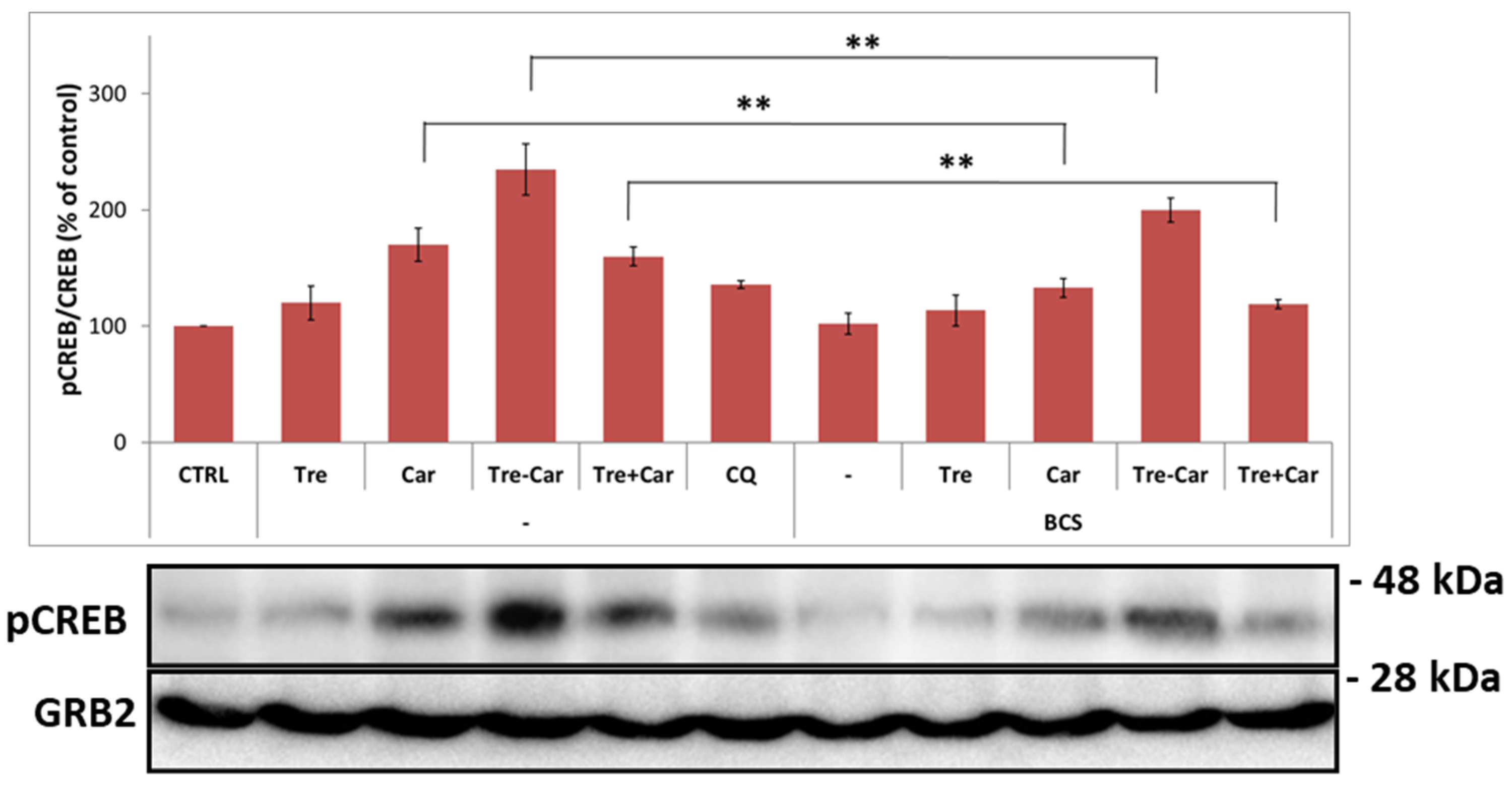 Ijms 22 13504 g005 550