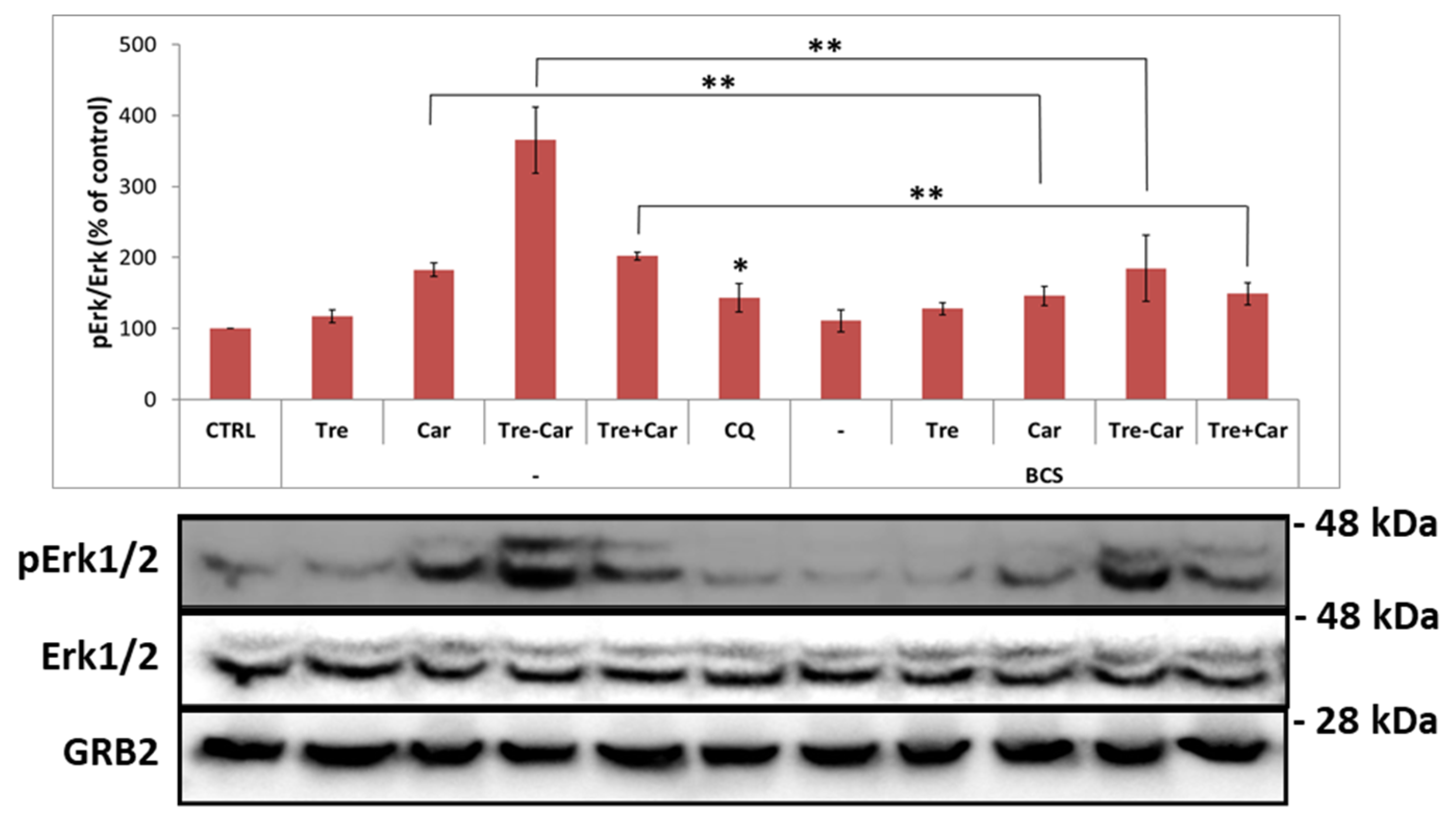 Ijms 22 13504 g006 550