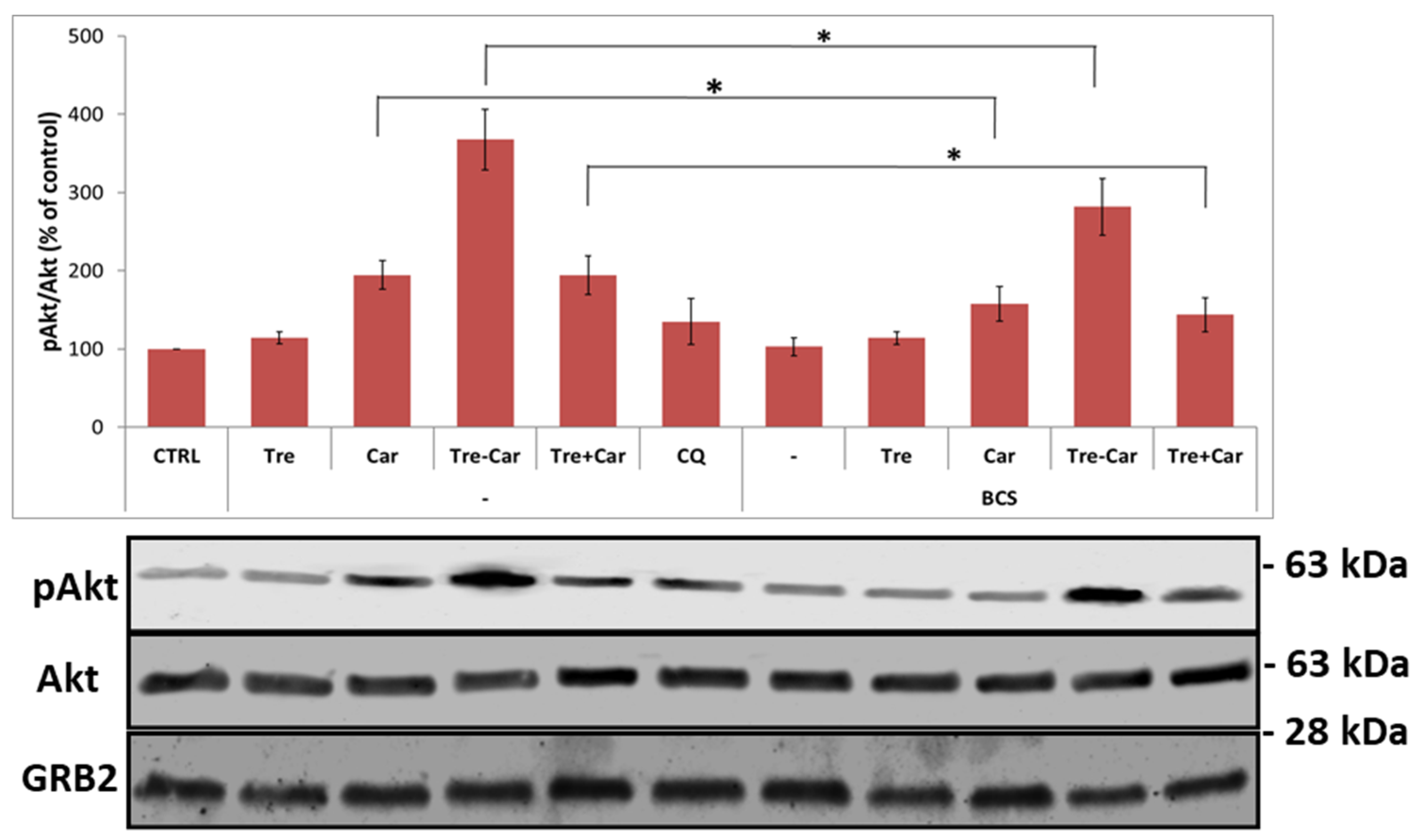 Ijms 22 13504 g007 550