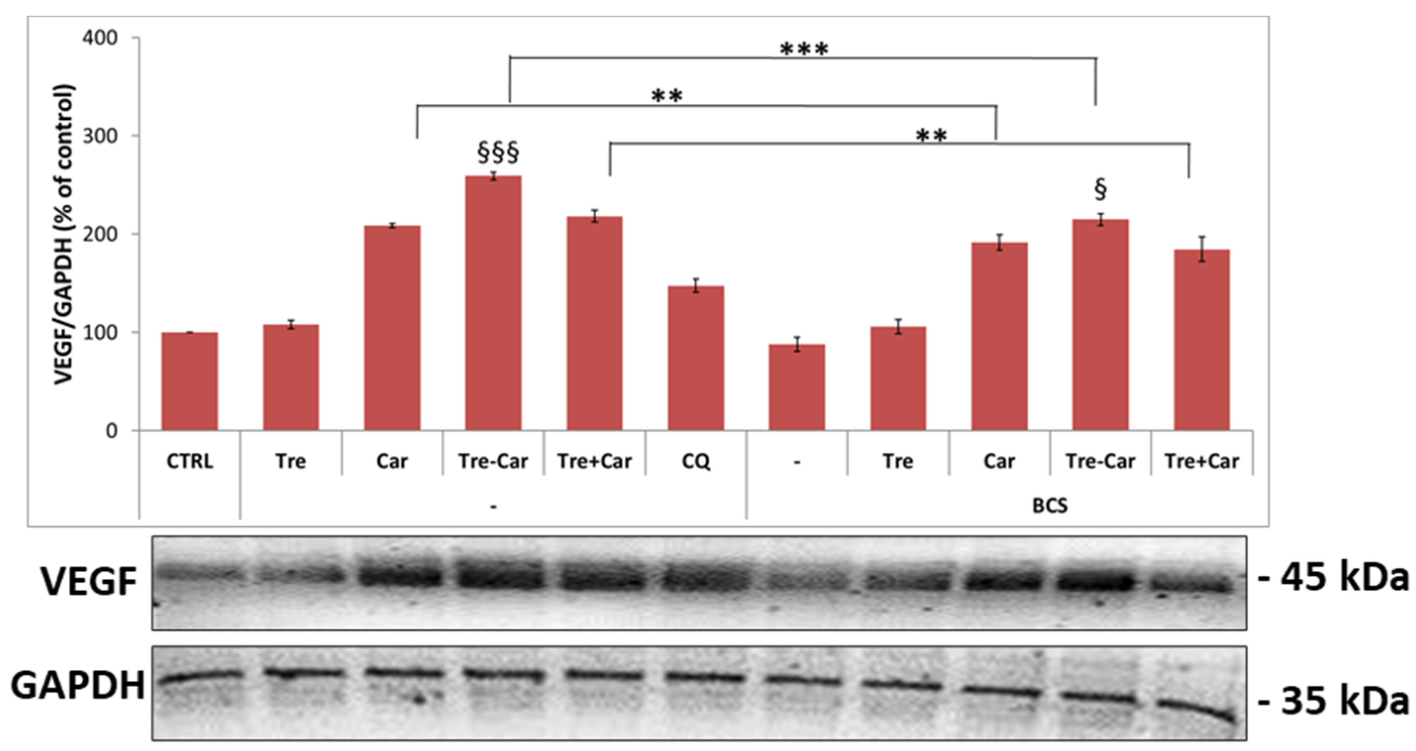 Ijms 22 13504 g009 550