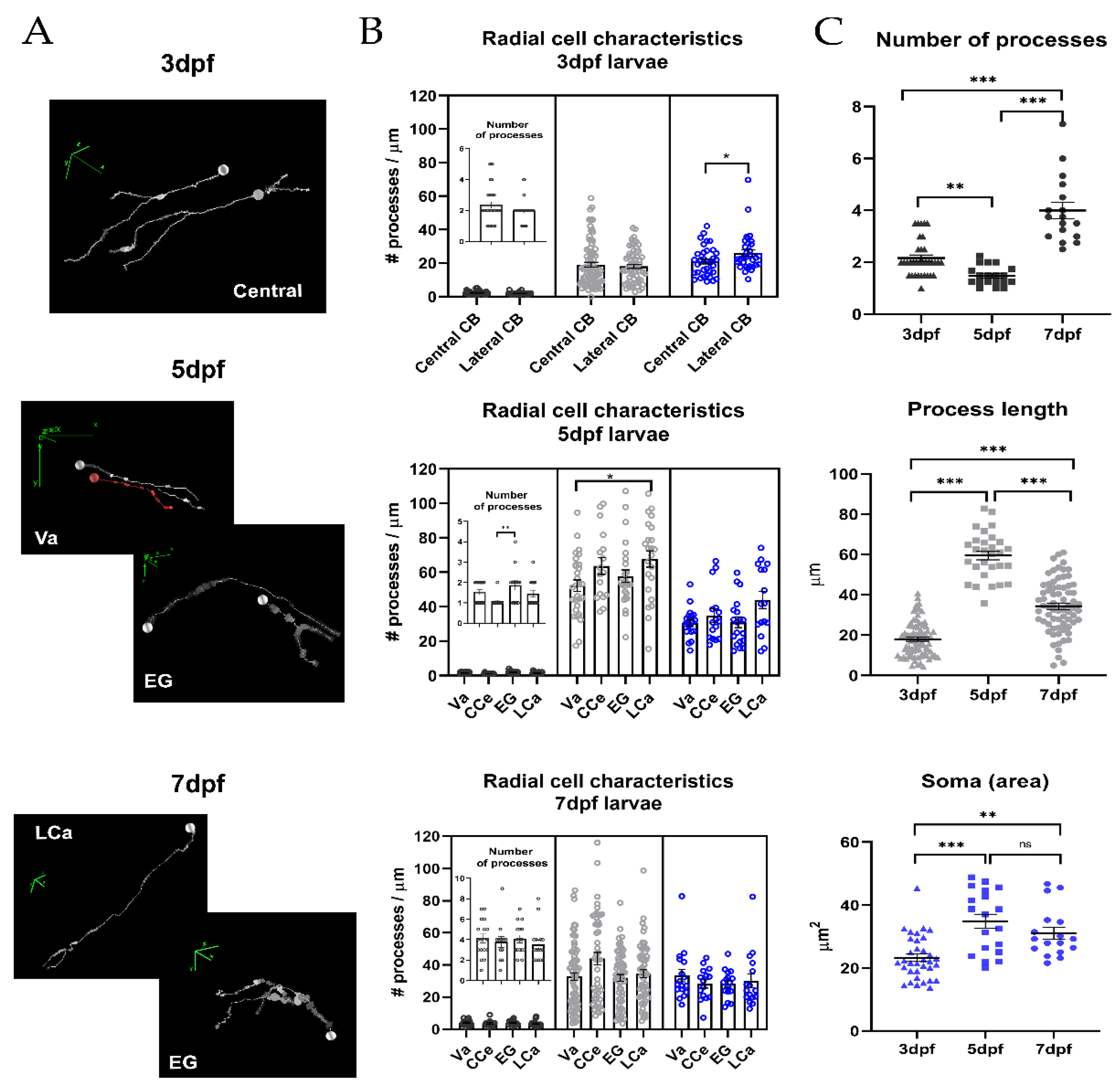 Ijms 22 13509 g002 550