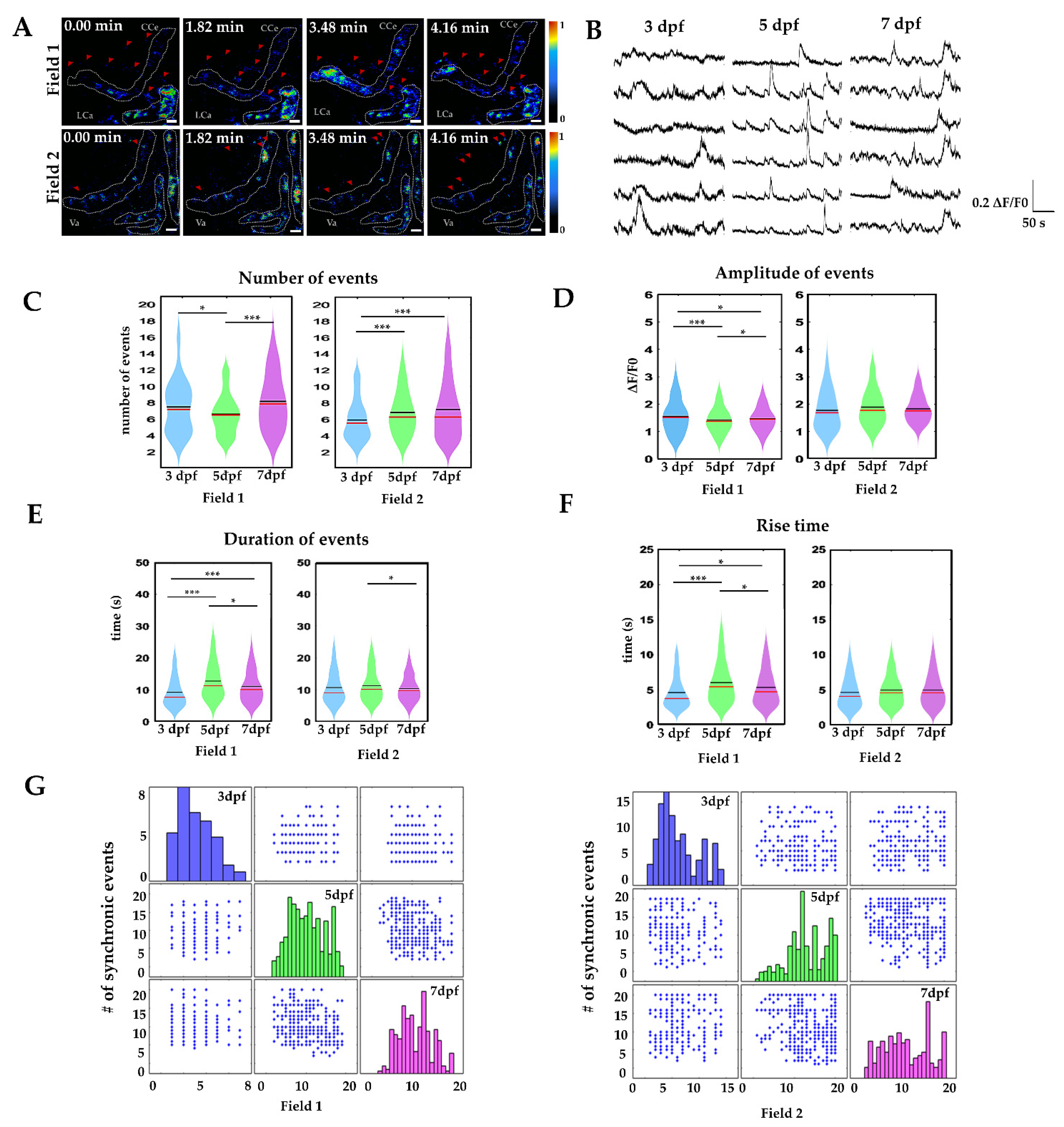 Ijms 22 13509 g003 550