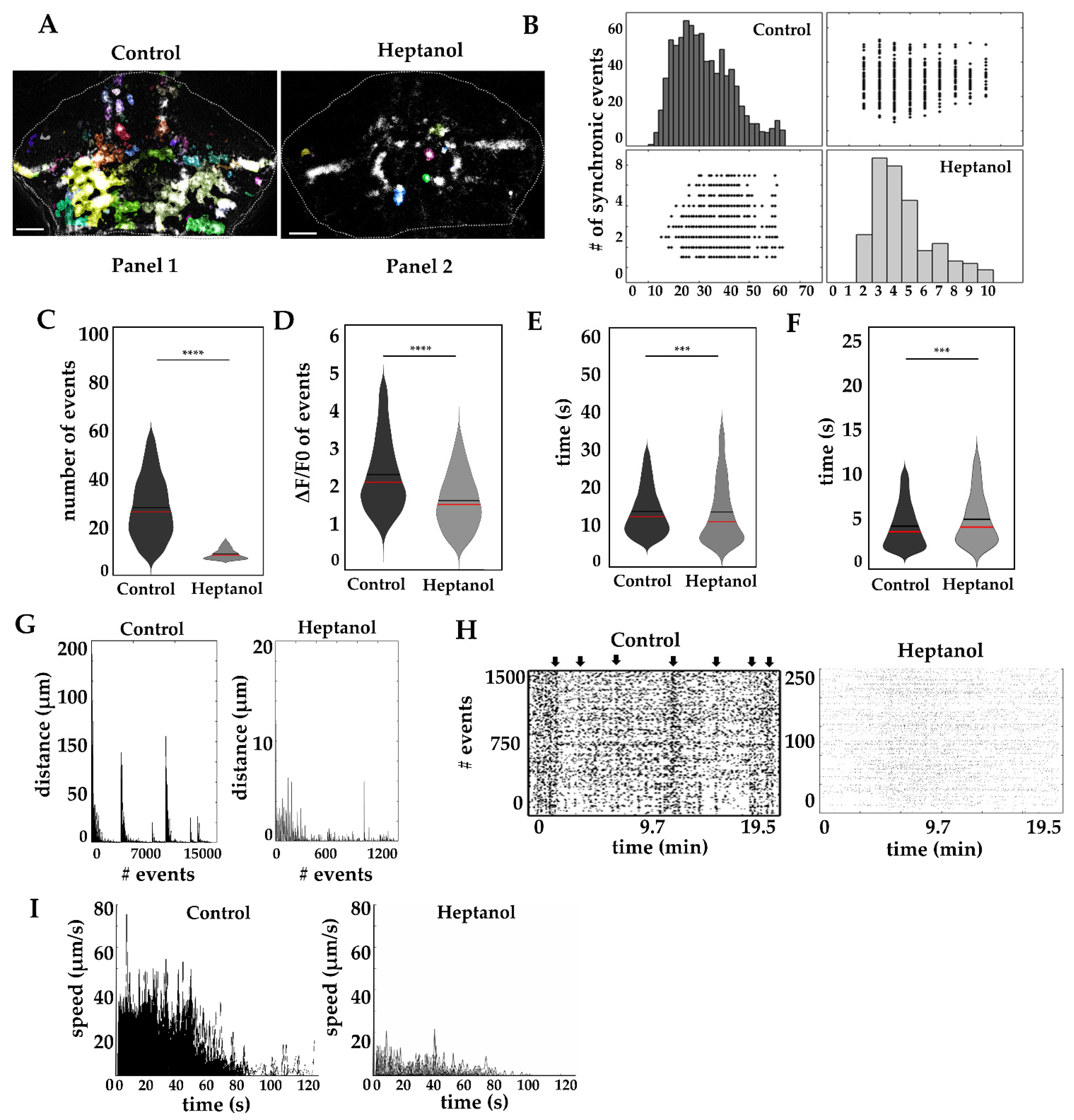 Ijms 22 13509 g005 550