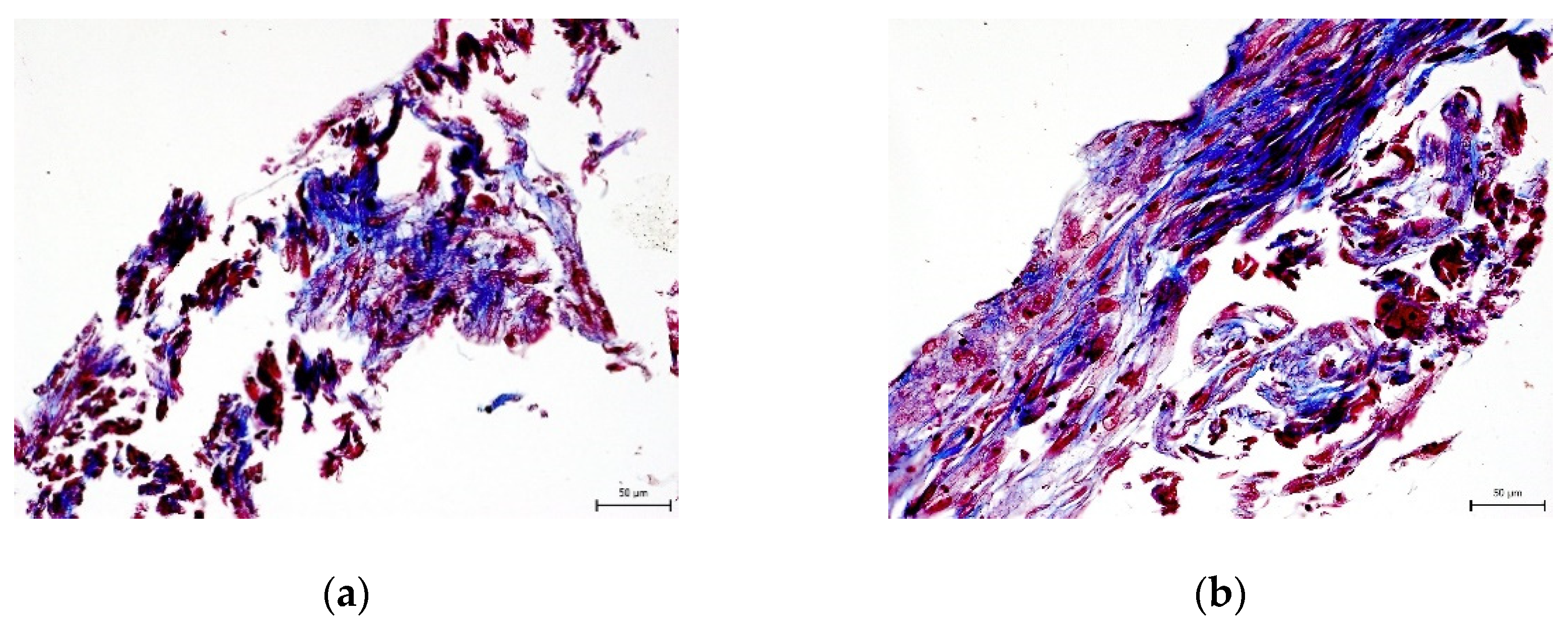 Ijms 22 13515 g008 550