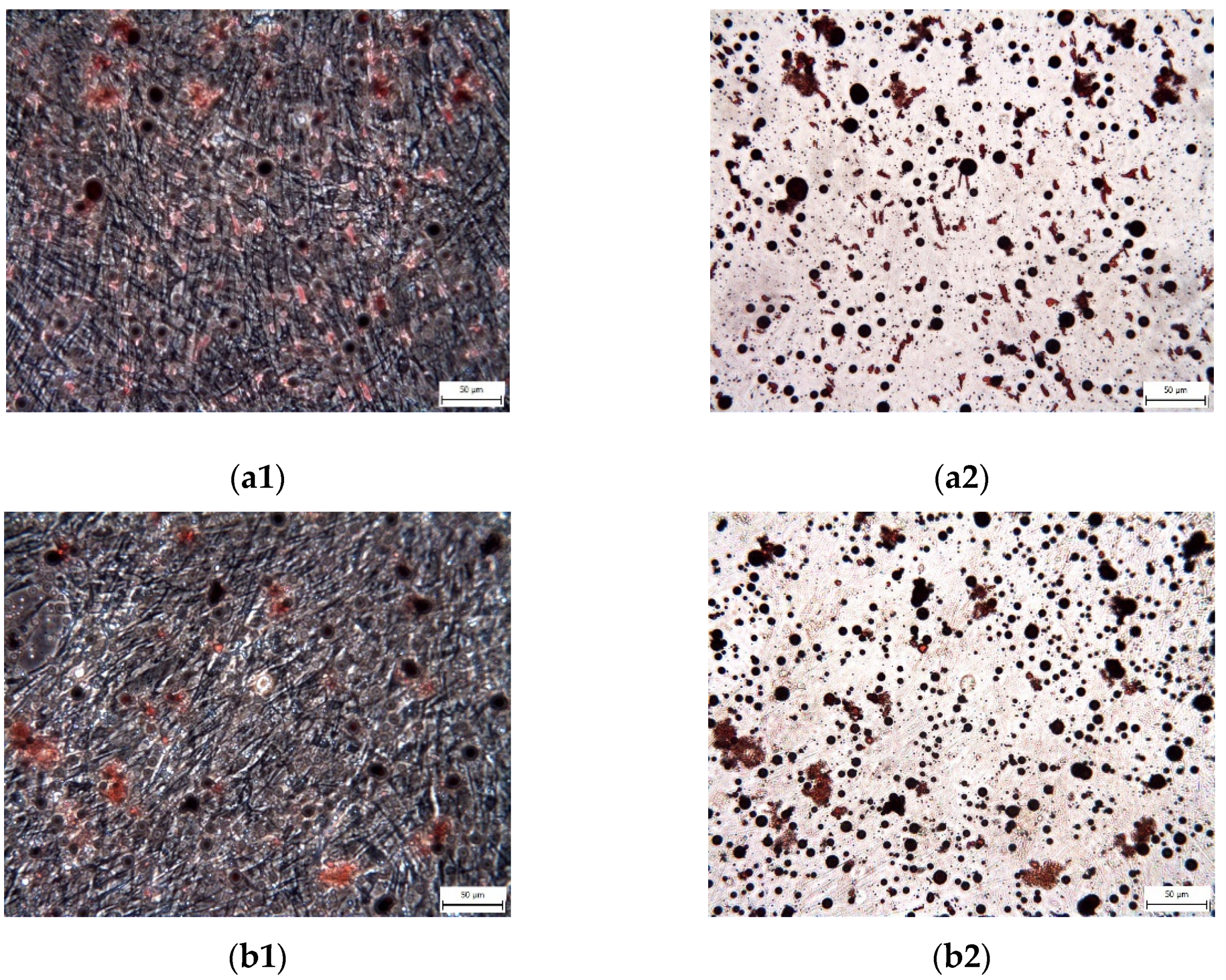 Ijms 22 13515 g011 550