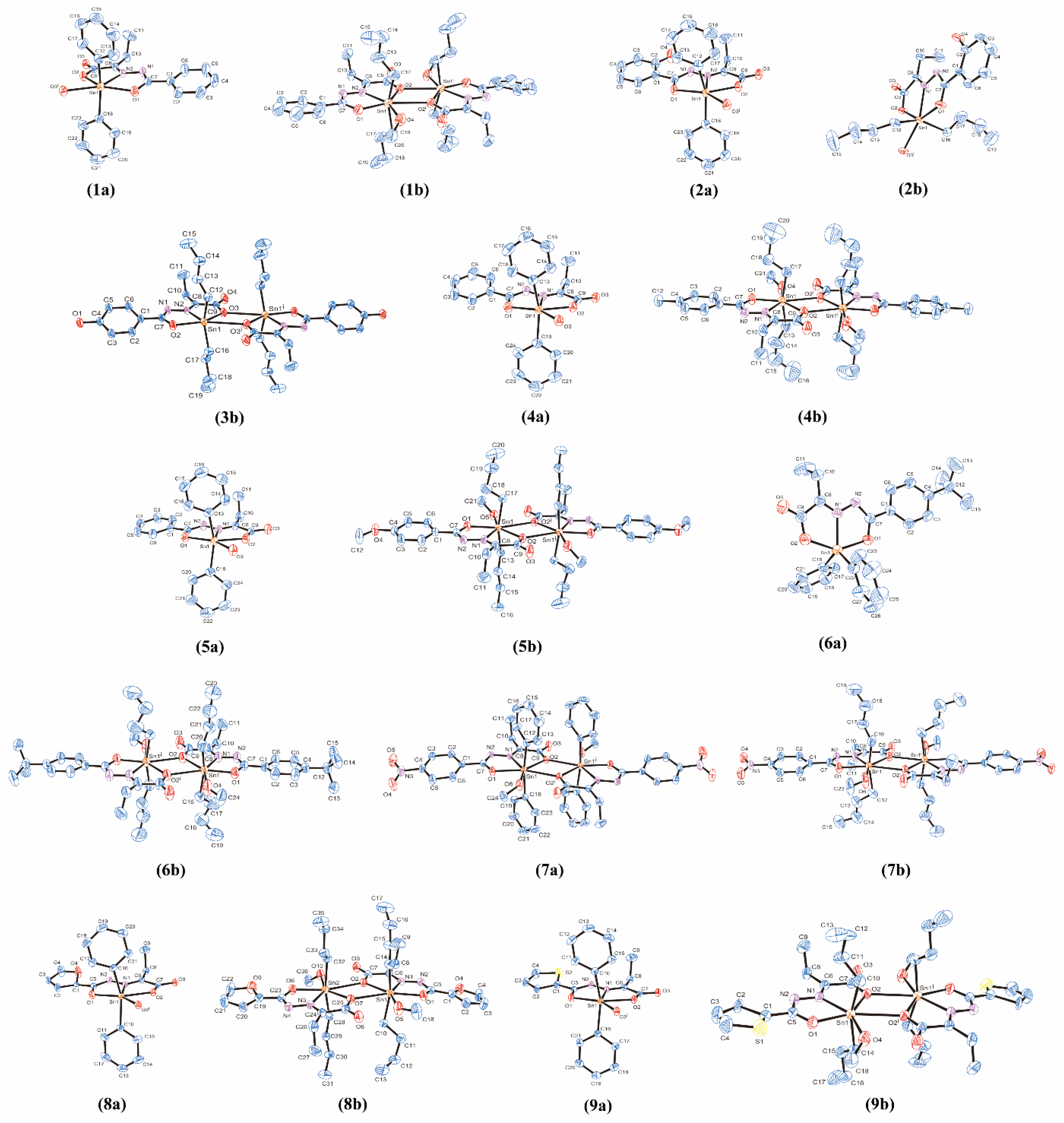 Ijms 22 13525 g001 550