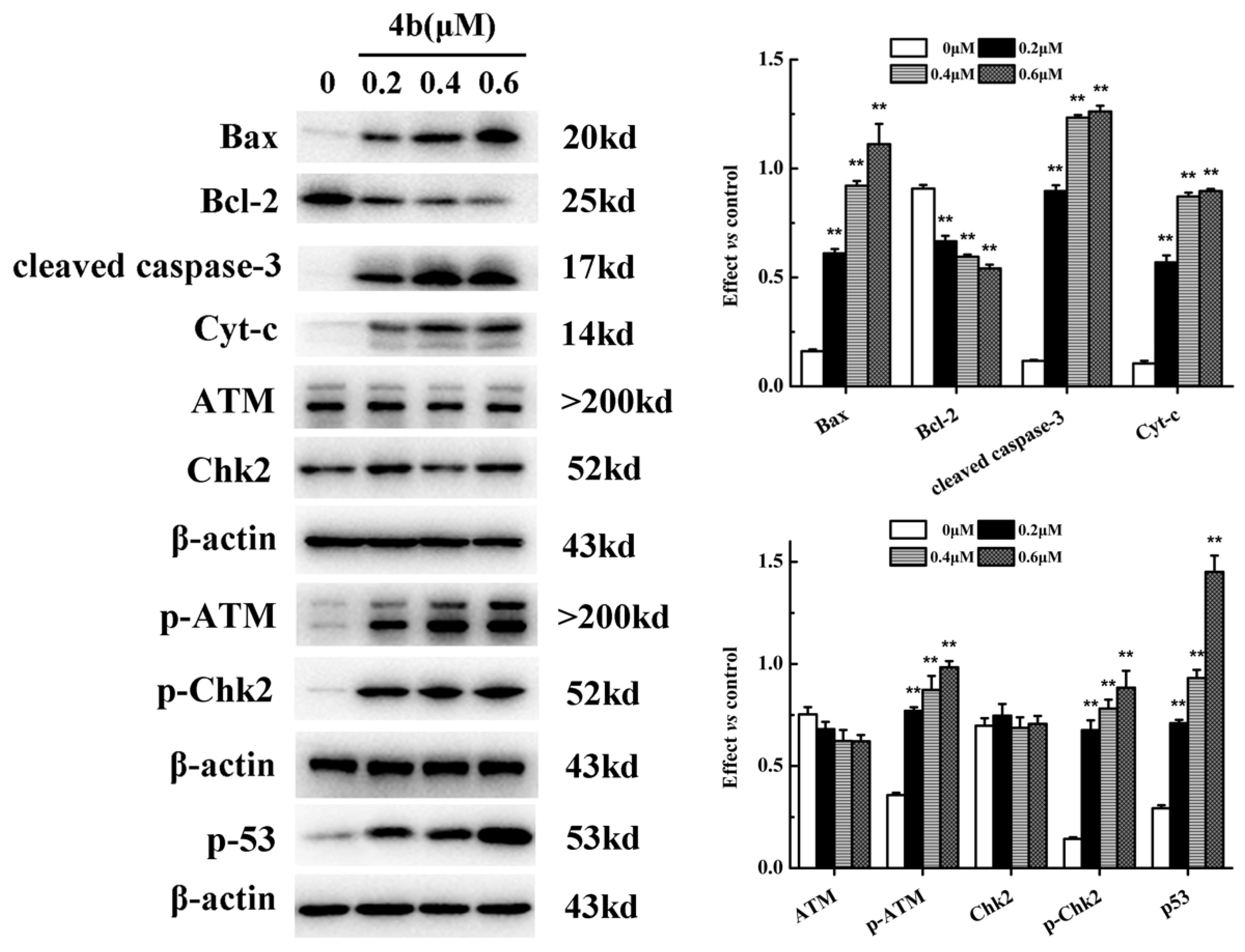 Ijms 22 13525 g005 550