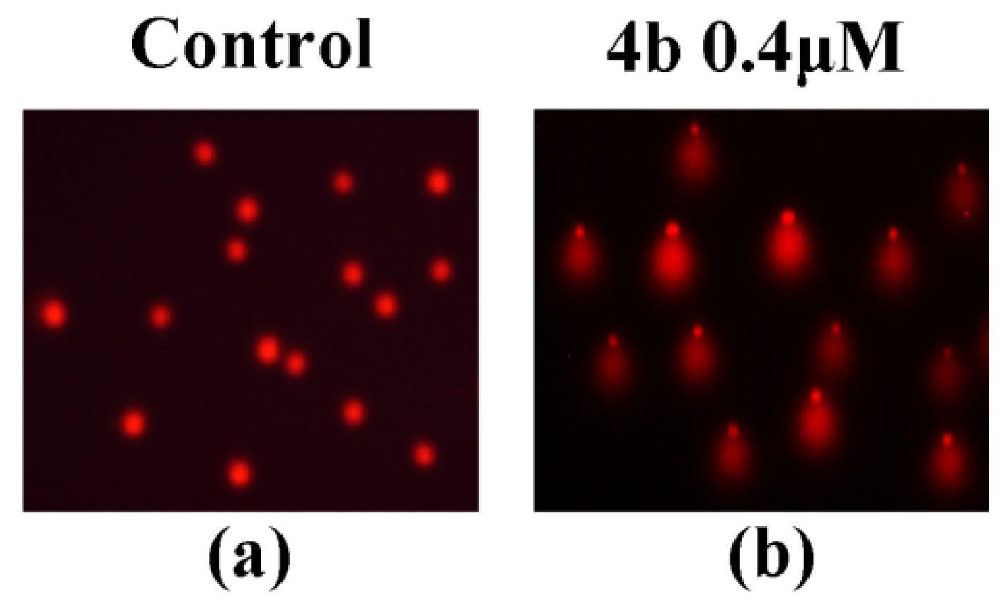 Ijms 22 13525 g006 550