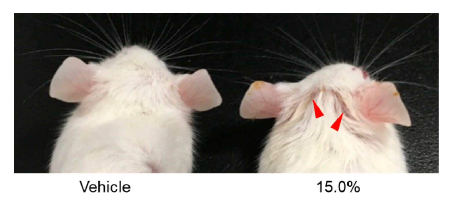 Ijms 22 13538 g004 Ijms 22 13538 g004