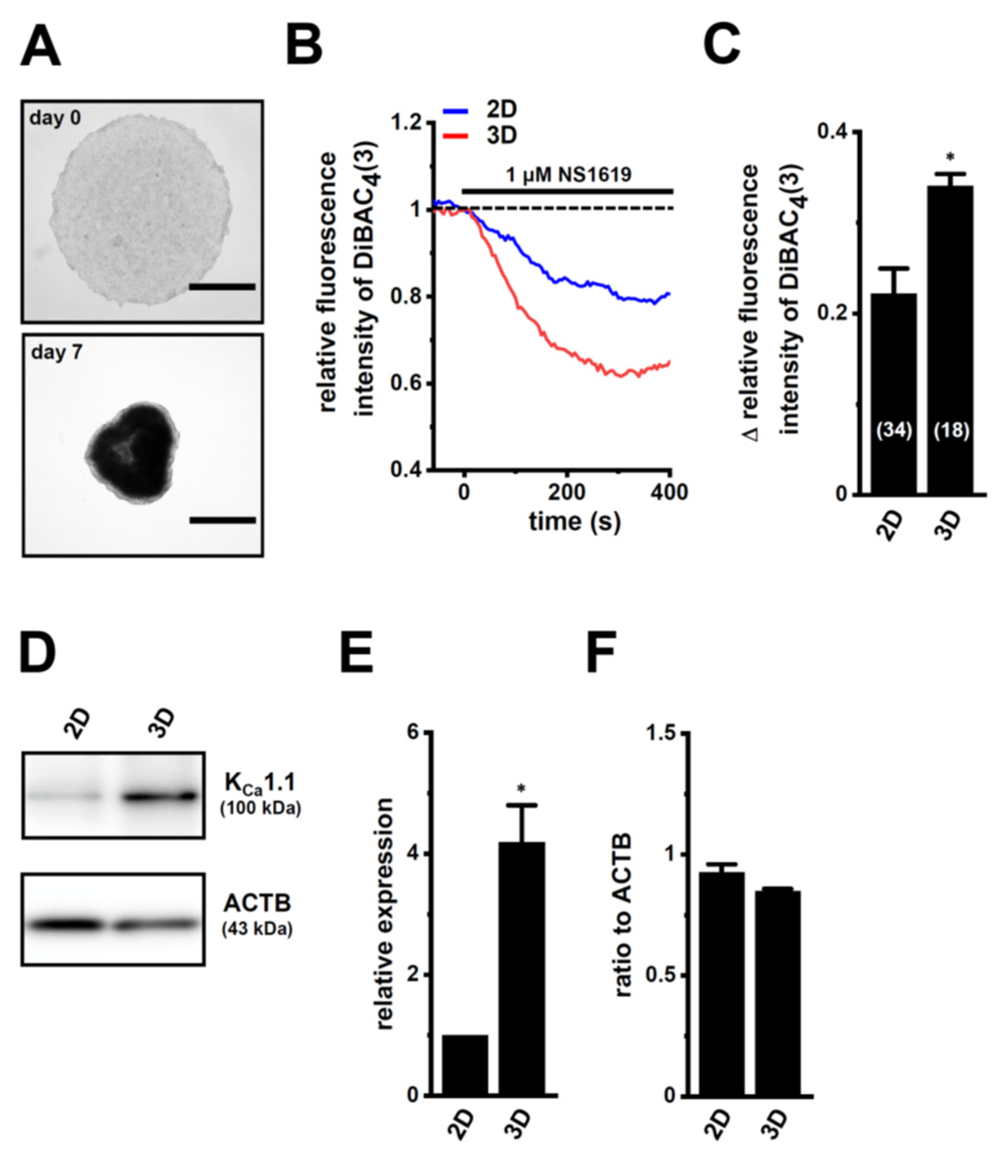 Ijms 22 13553 g001 550