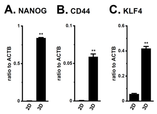 KCa1.1 K+ Channel Inhibition Overcomes Resistance to