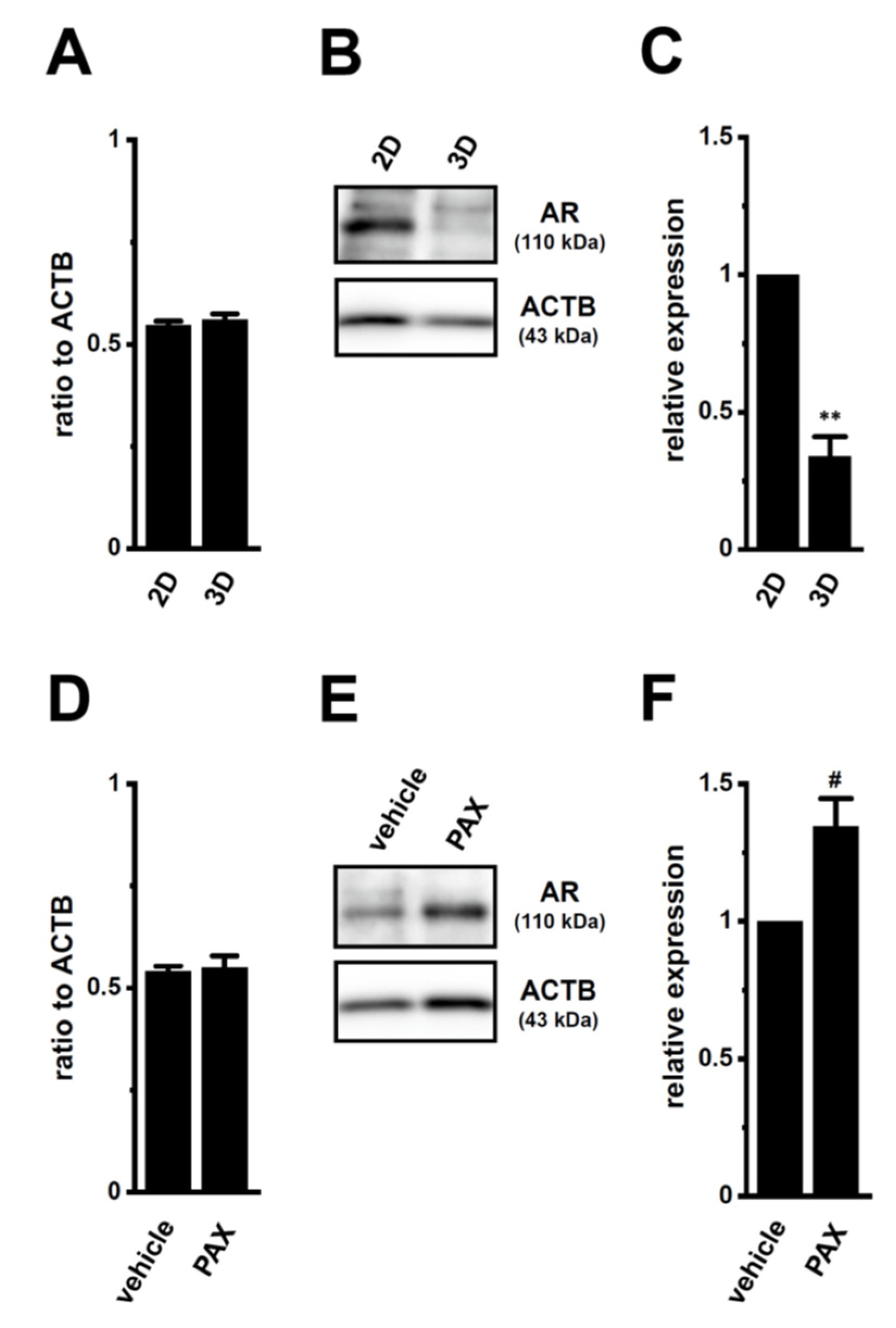 Ijms 22 13553 g007 550