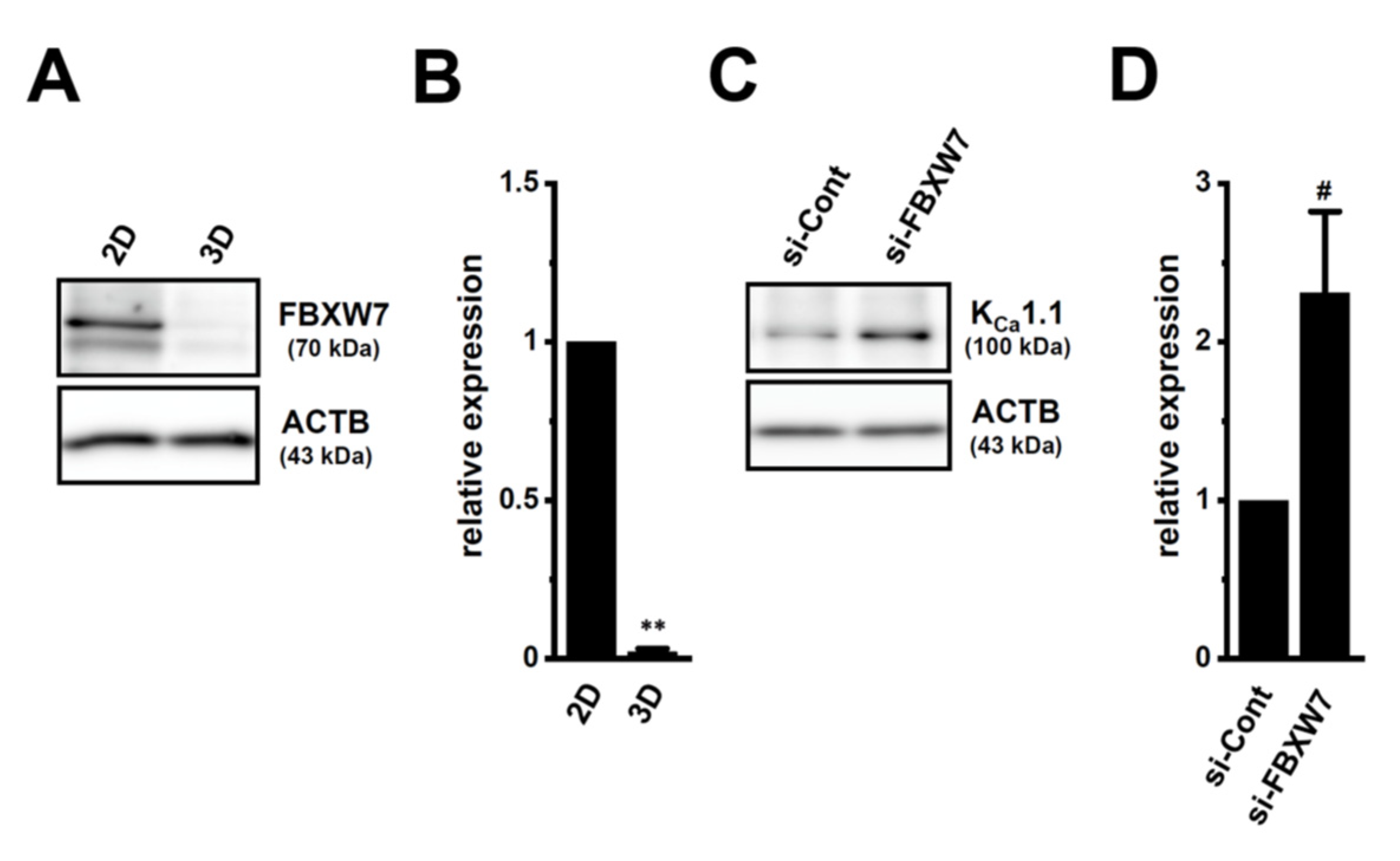 Ijms 22 13553 g010 550