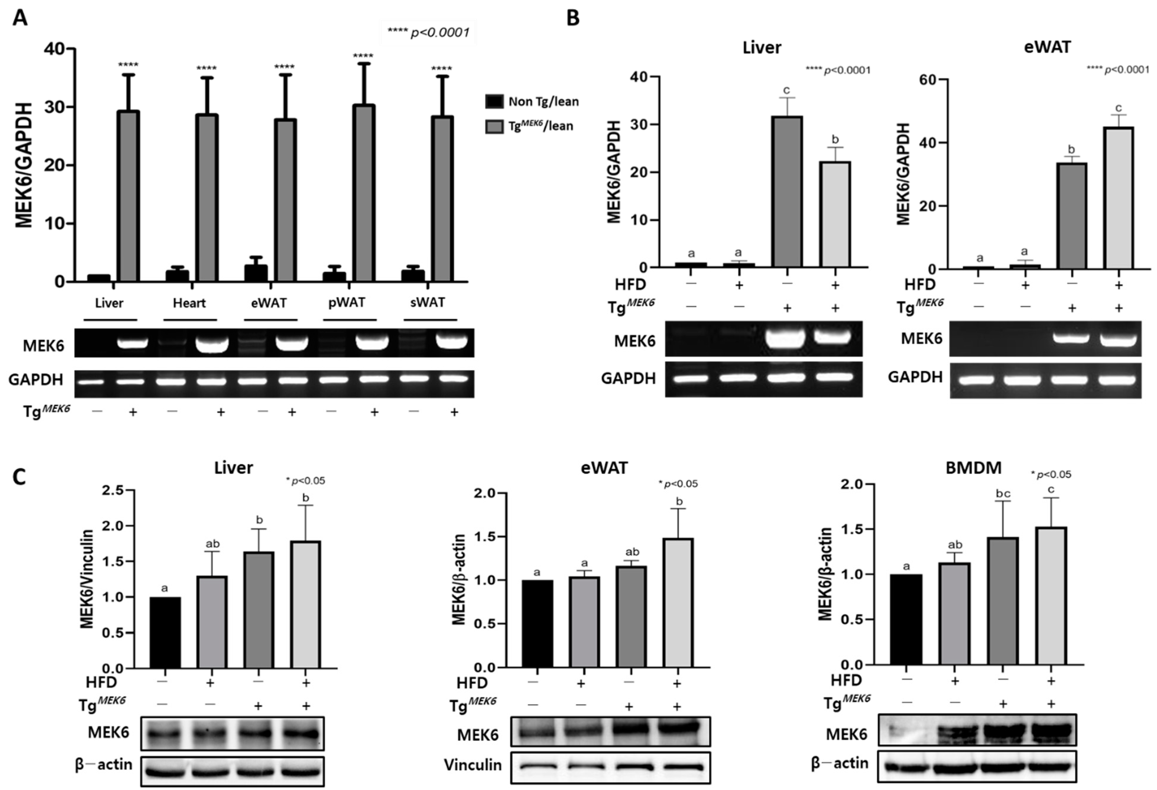 Ijms 22 13559 g001 550