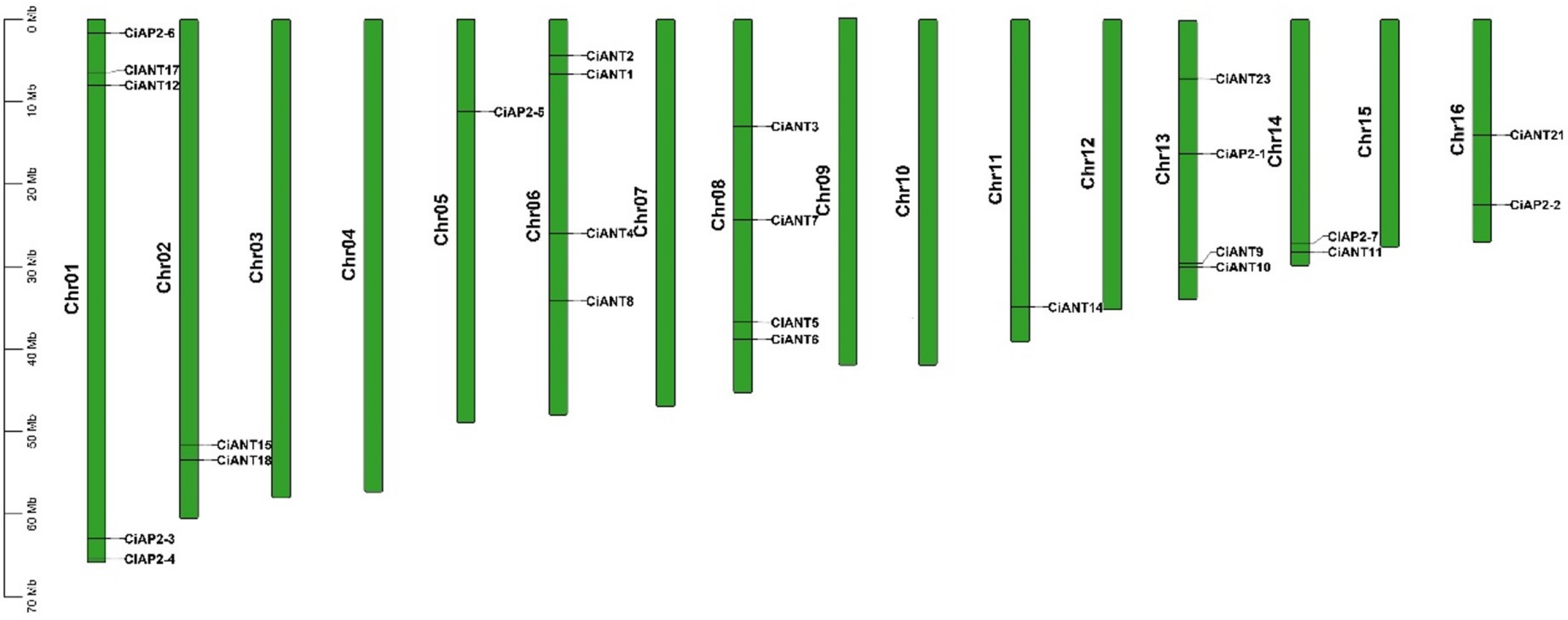 Ijms 22 13568 g001 550