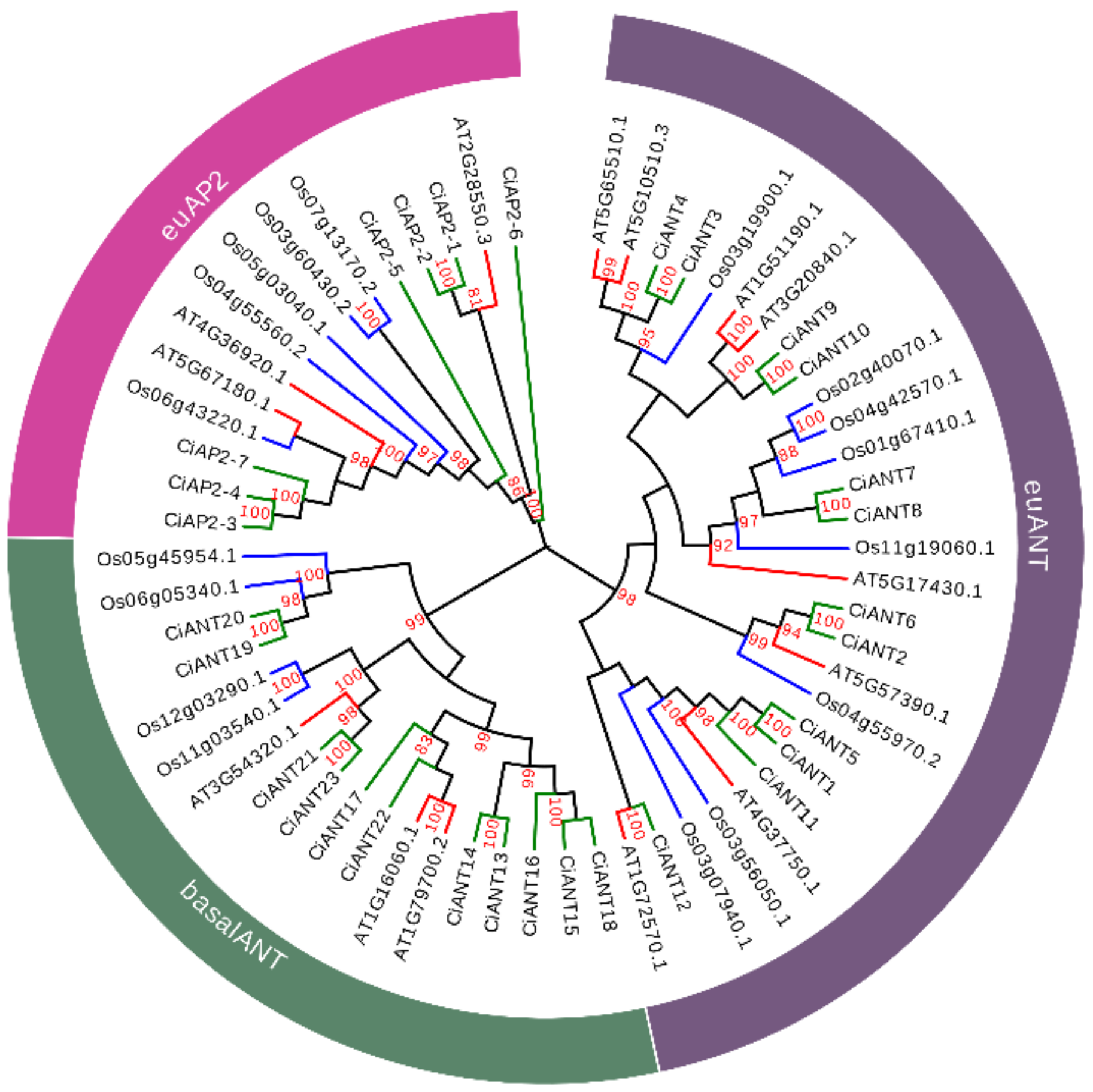 Ijms 22 13568 g002 550