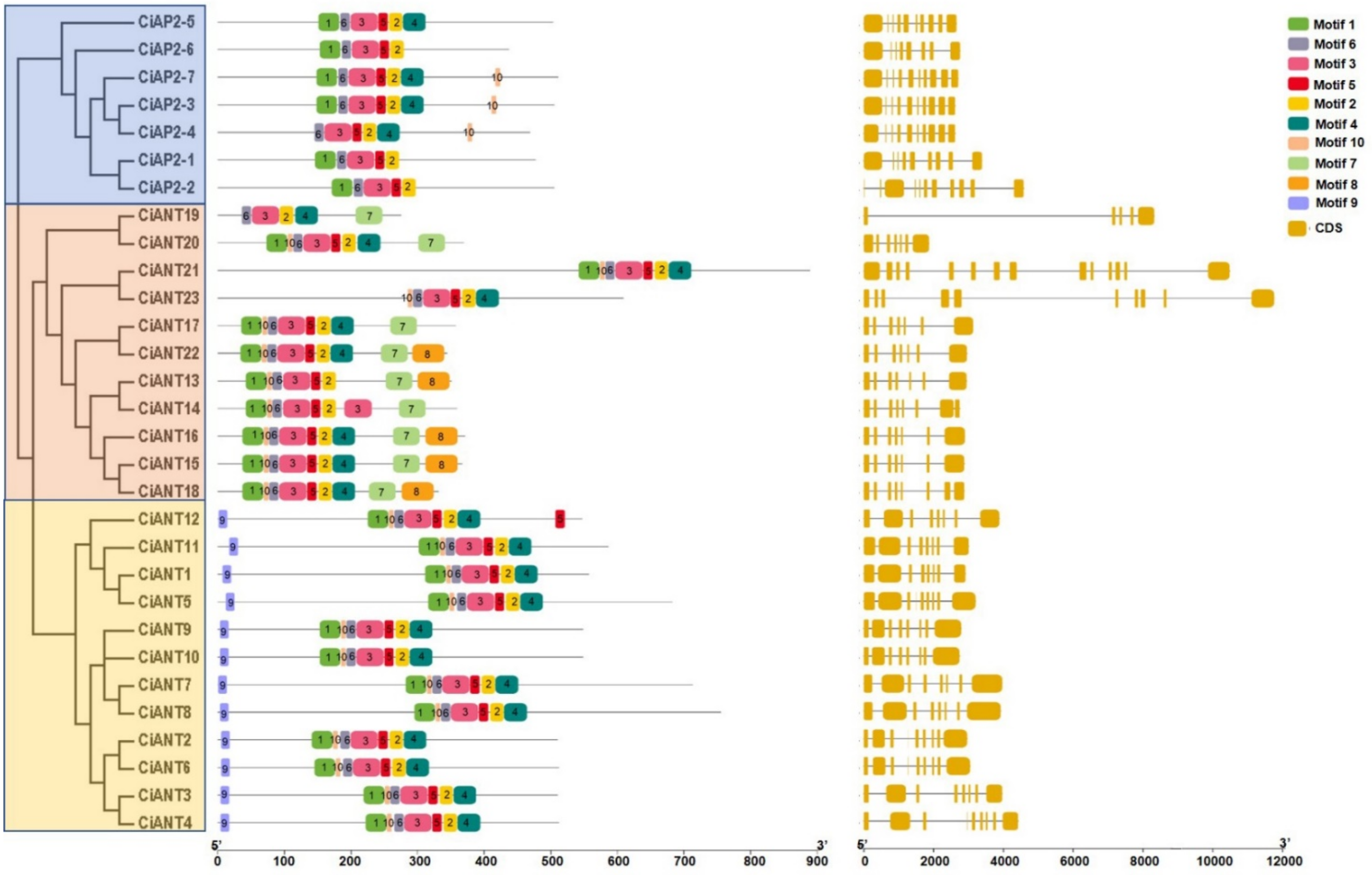 Ijms 22 13568 g003 550