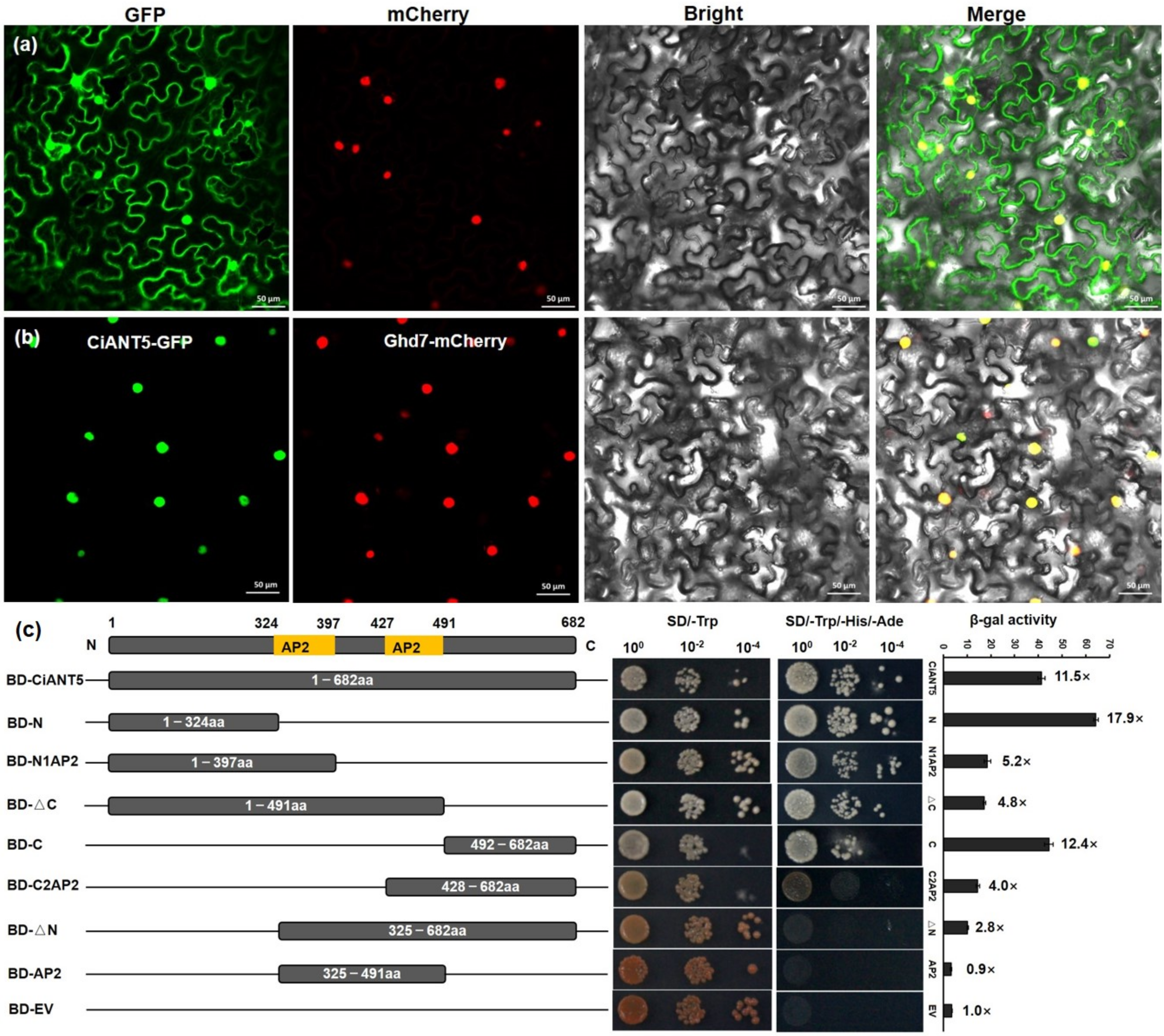 Ijms 22 13568 g006 550