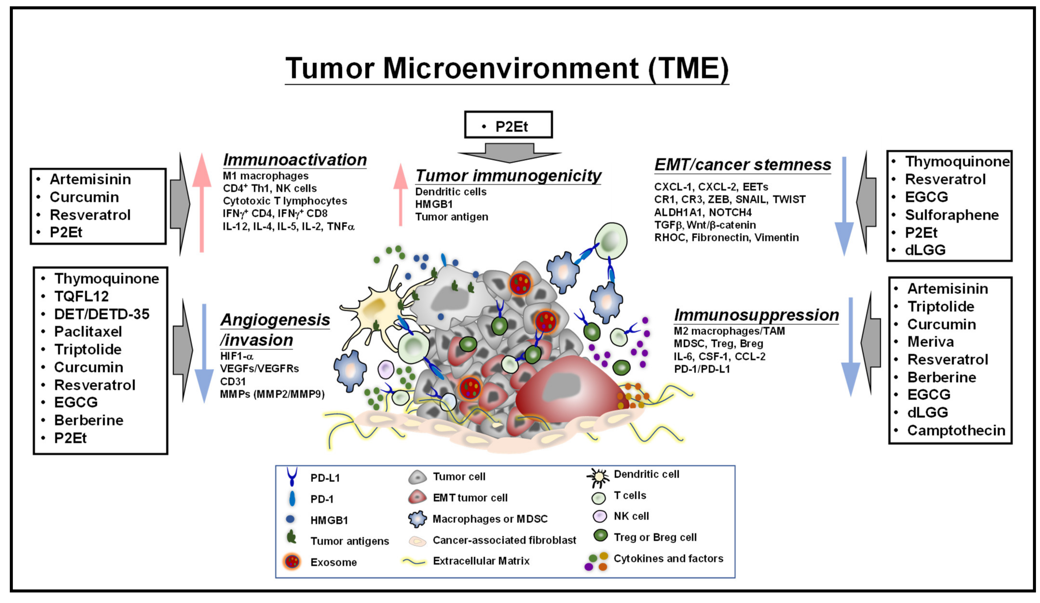 Ijms 22 13571 g002 Ijms 22 13571 g002