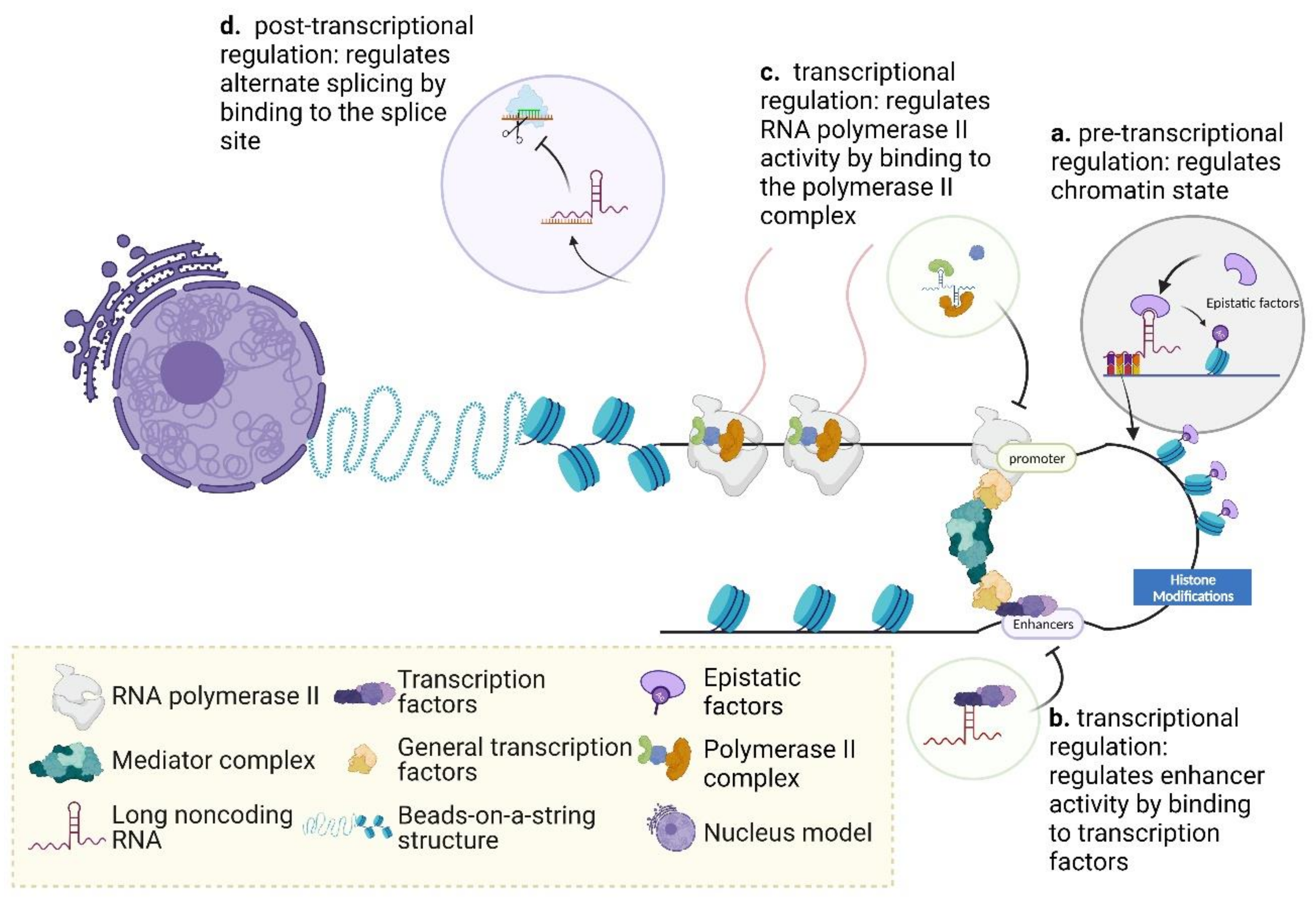 Ijms 22 13579 g003 Ijms 22 13579 g003