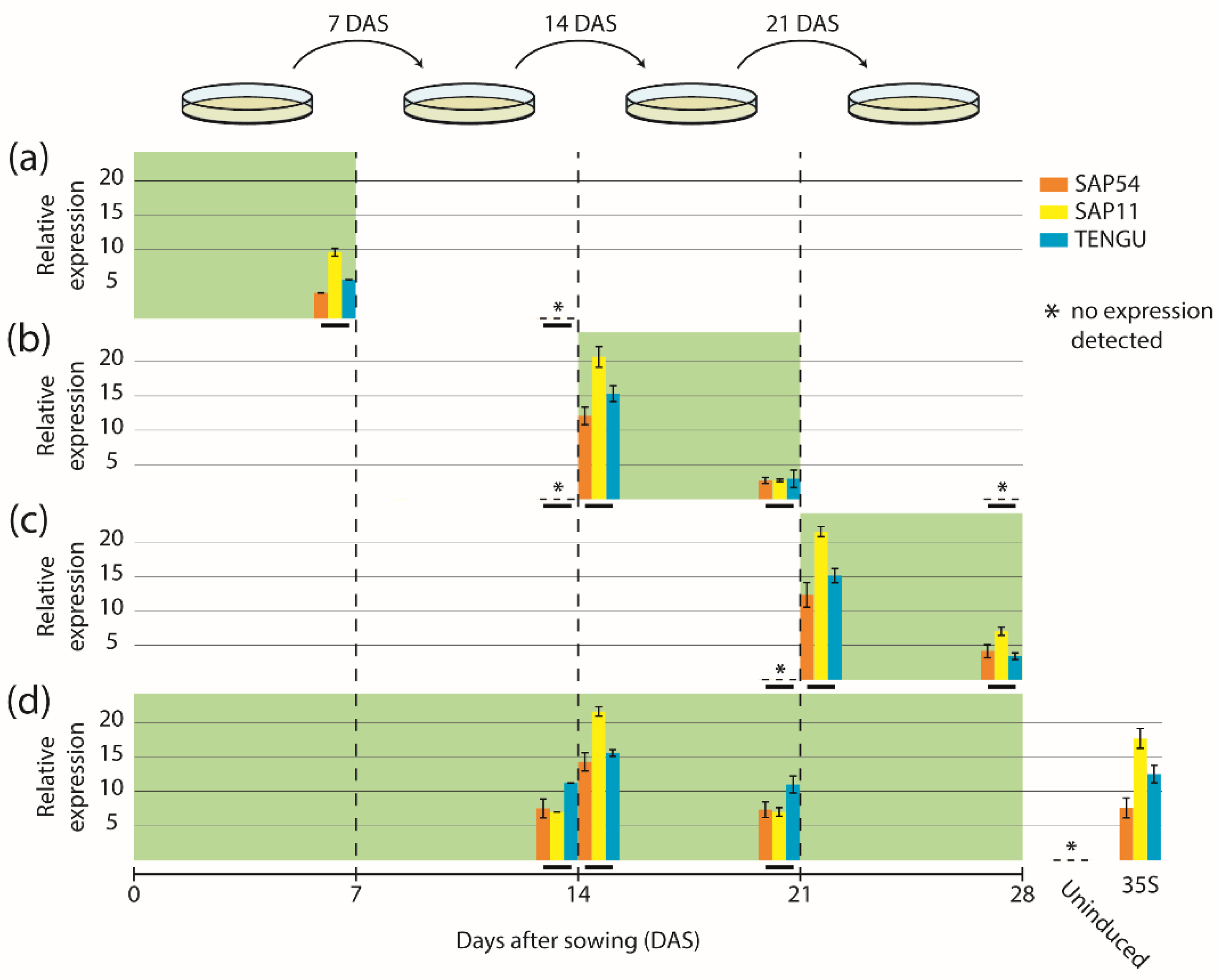 Ijms 22 13582 g002 550