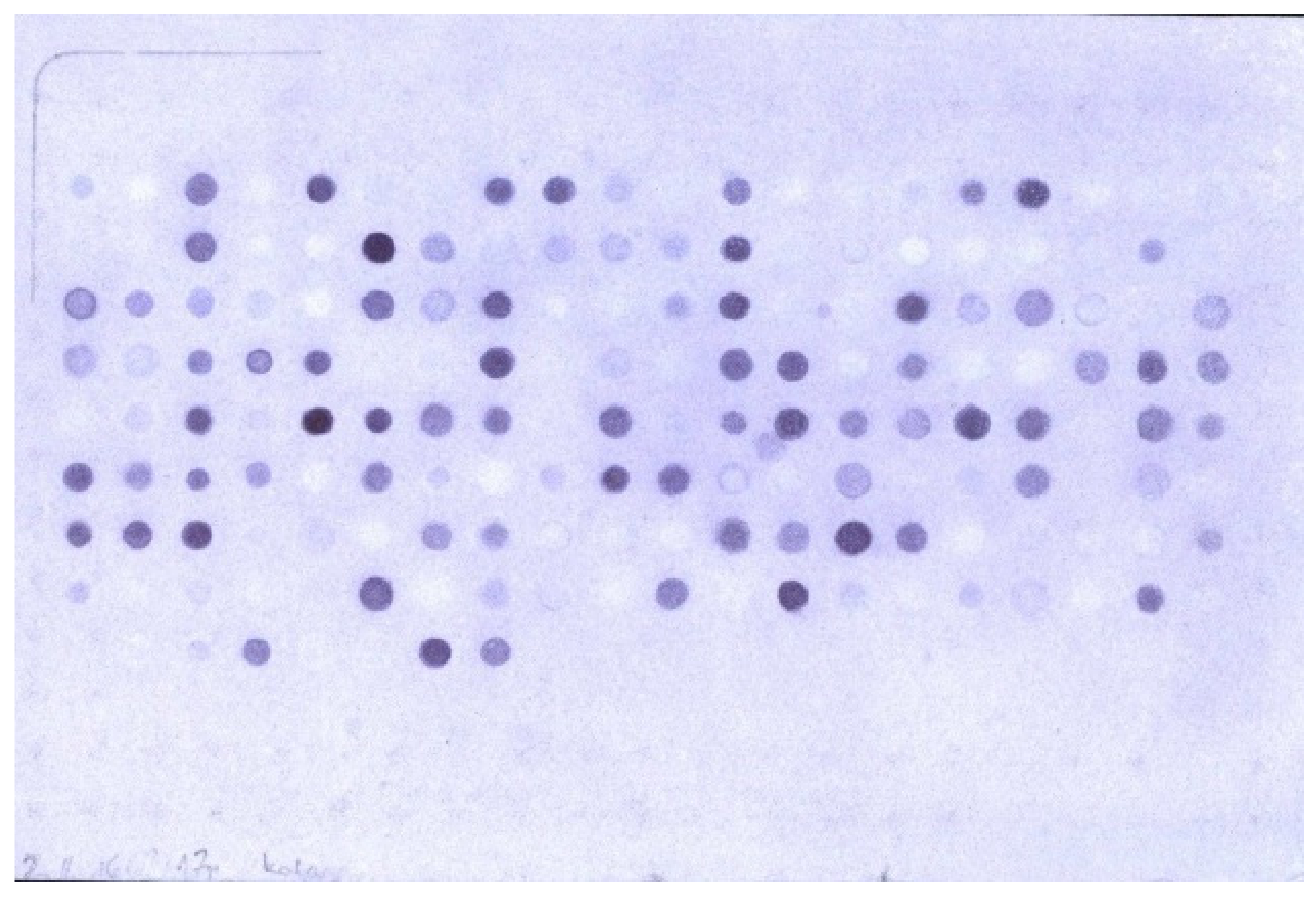 Ijms 22 13584 g001 550