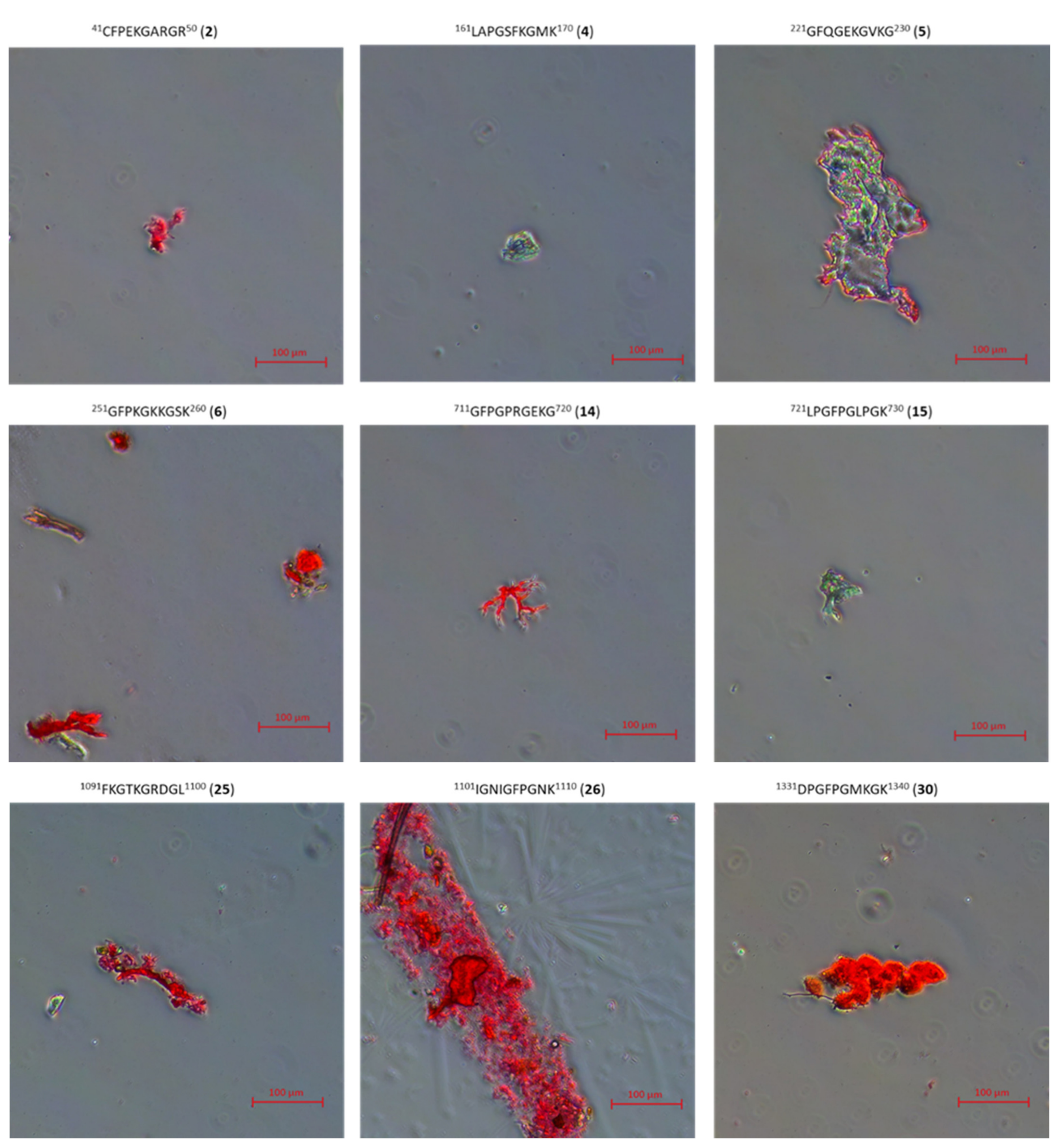 Ijms 22 13584 g011 550