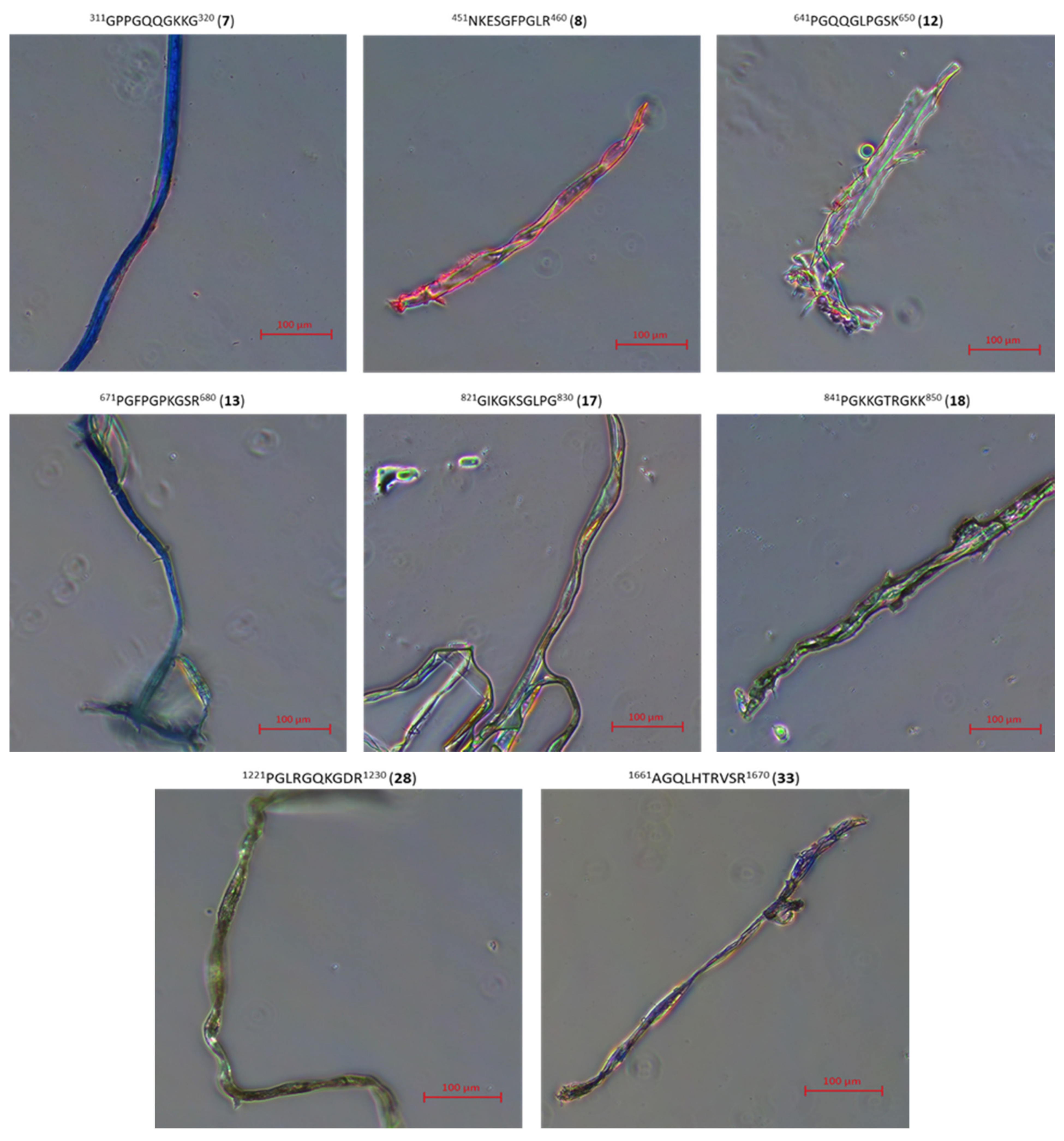 Ijms 22 13584 g012a 550