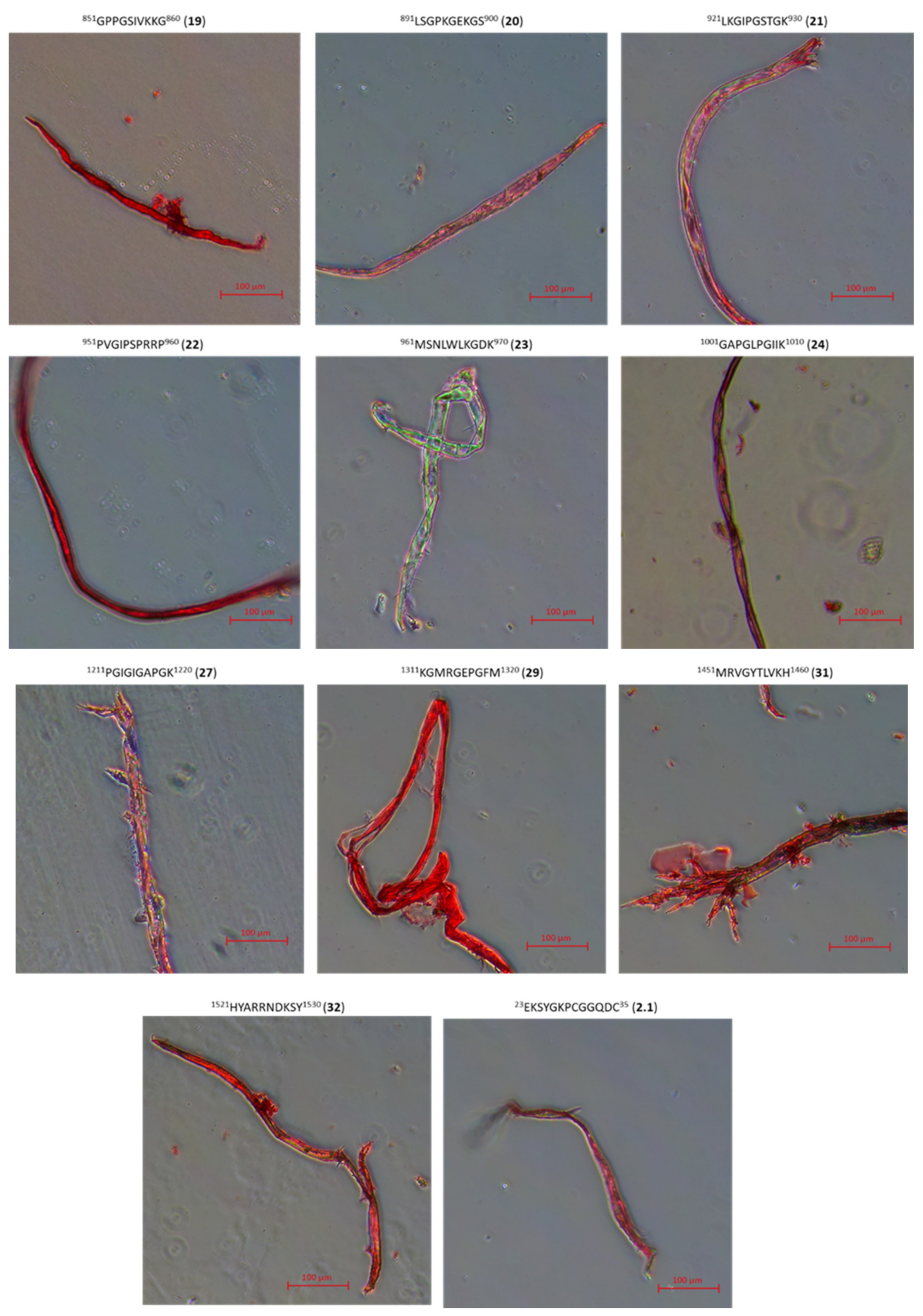 Ijms 22 13584 g013b 550