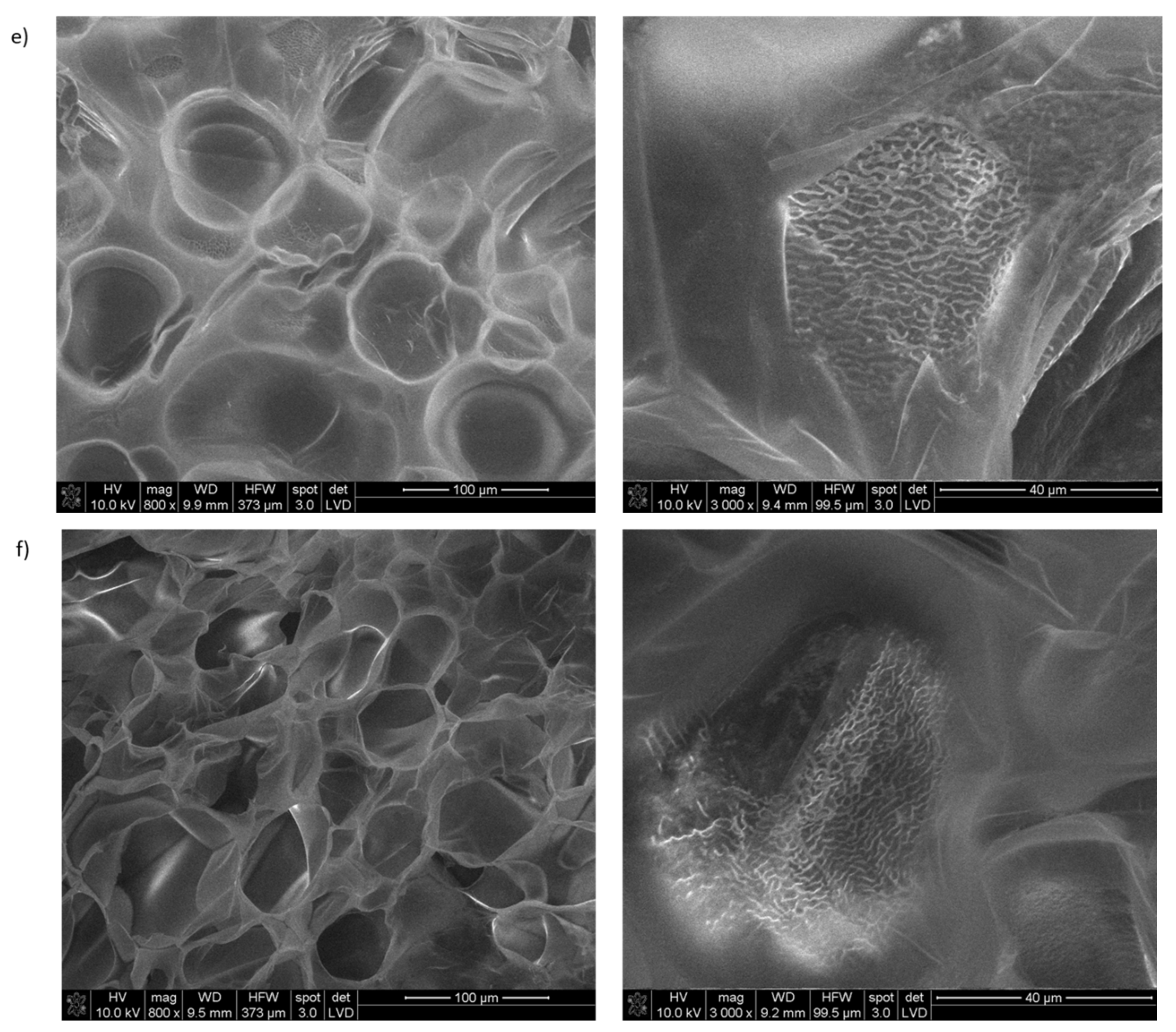 Ijms 22 13584 g017b 550