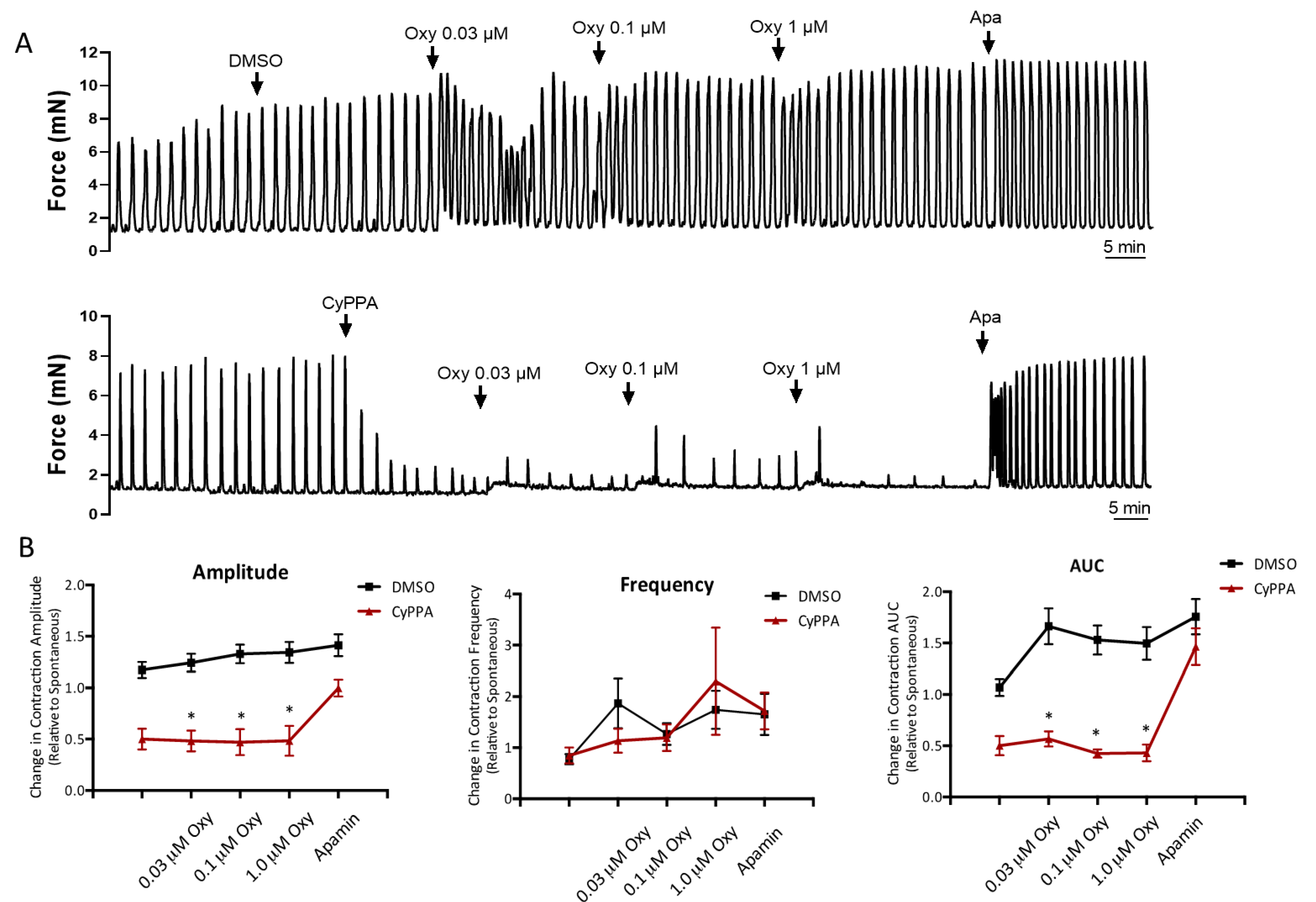 Ijms 22 13585 g001 Ijms 22 13585 g001