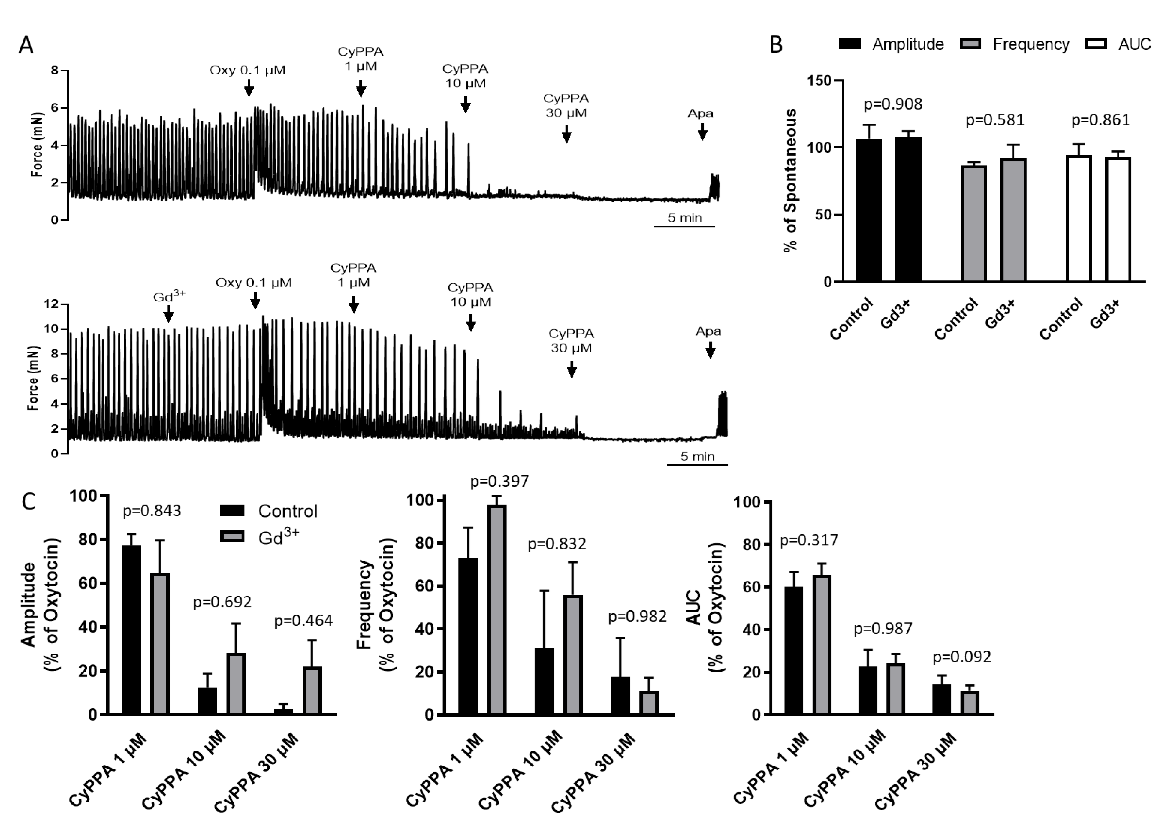 Ijms 22 13585 g003 Ijms 22 13585 g003